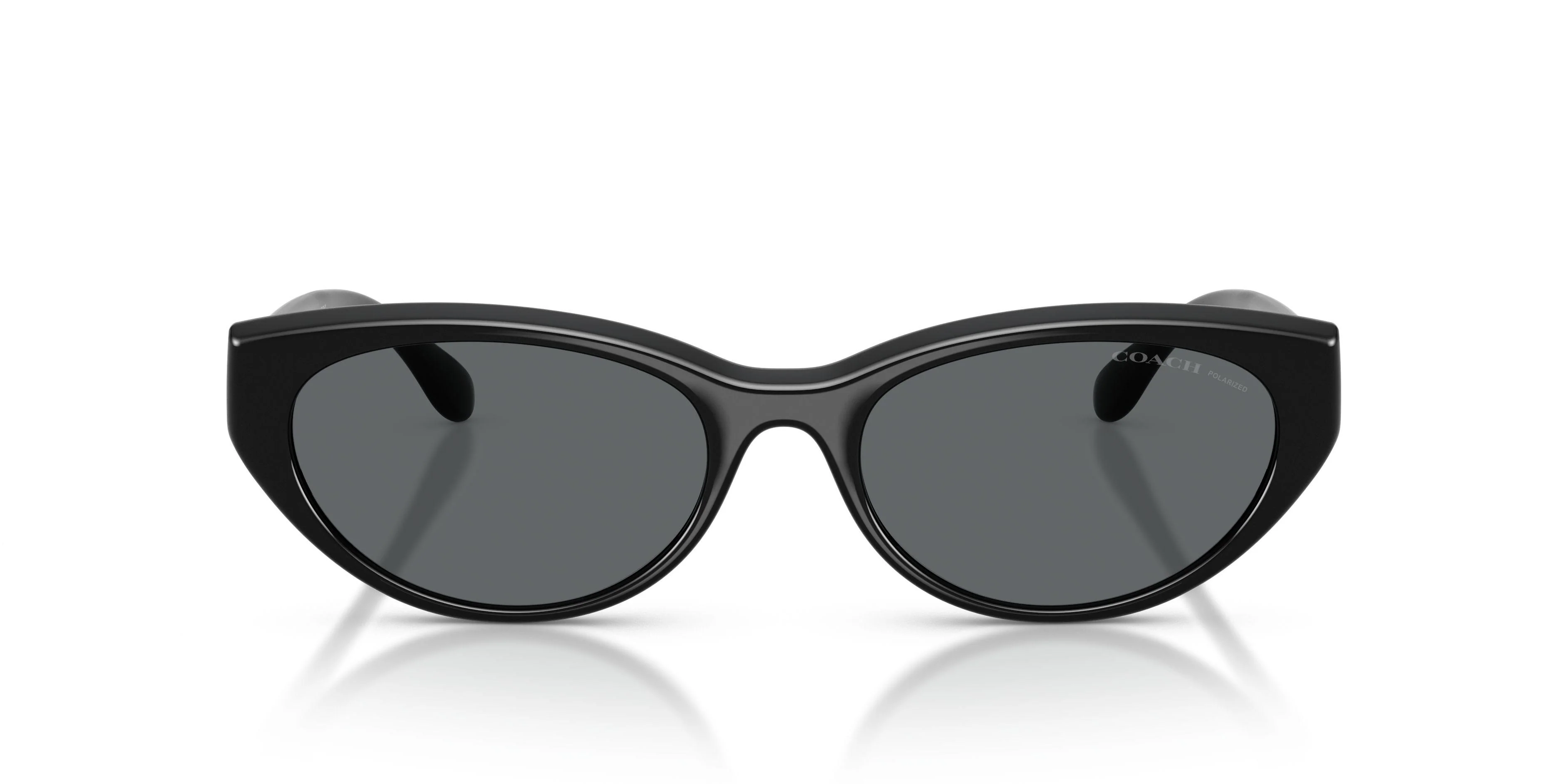 Coach Cdp42 8456D Sunglasses - Image 15