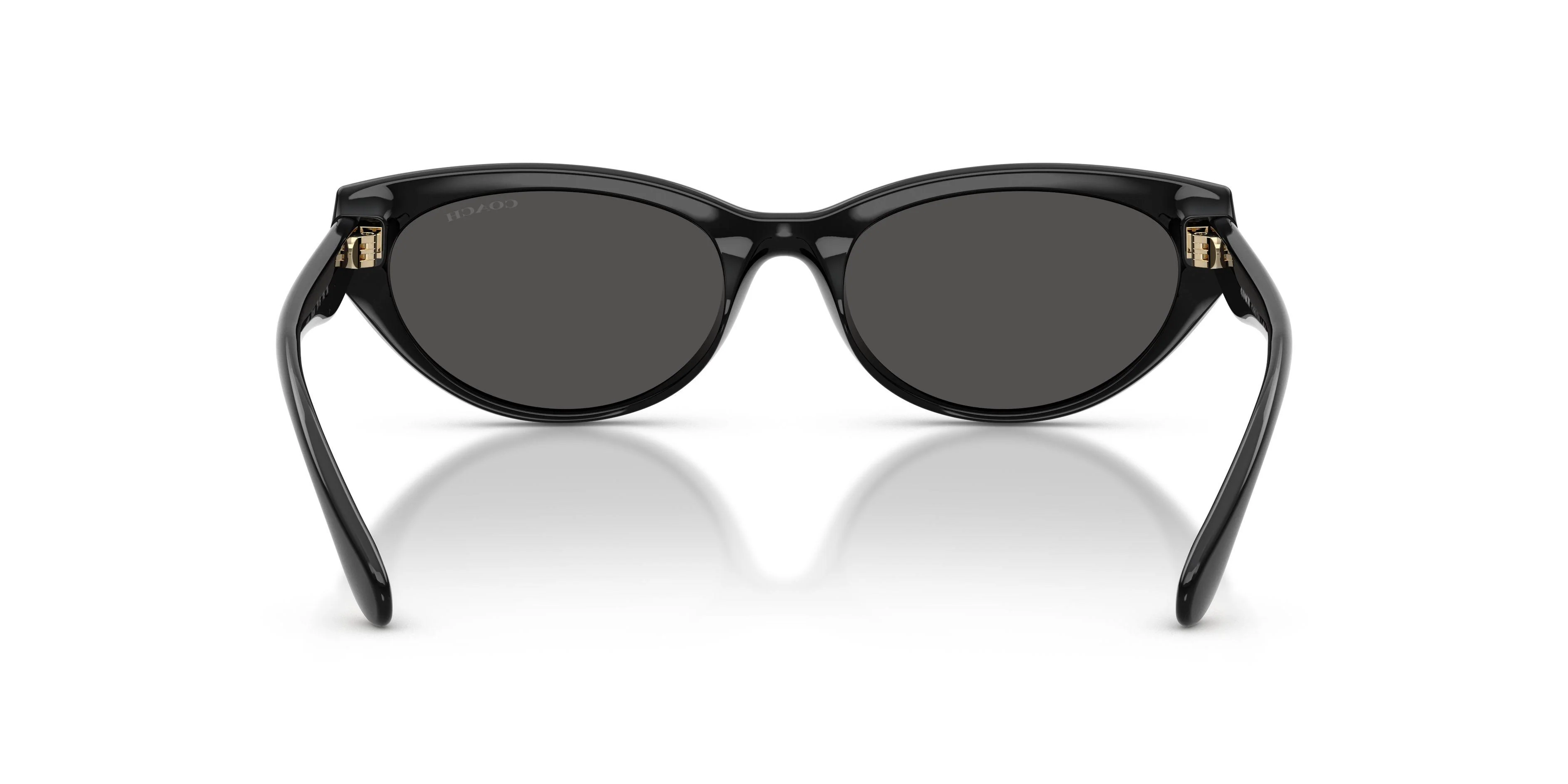 Coach Cdp42 8456D Sunglasses - Image 9