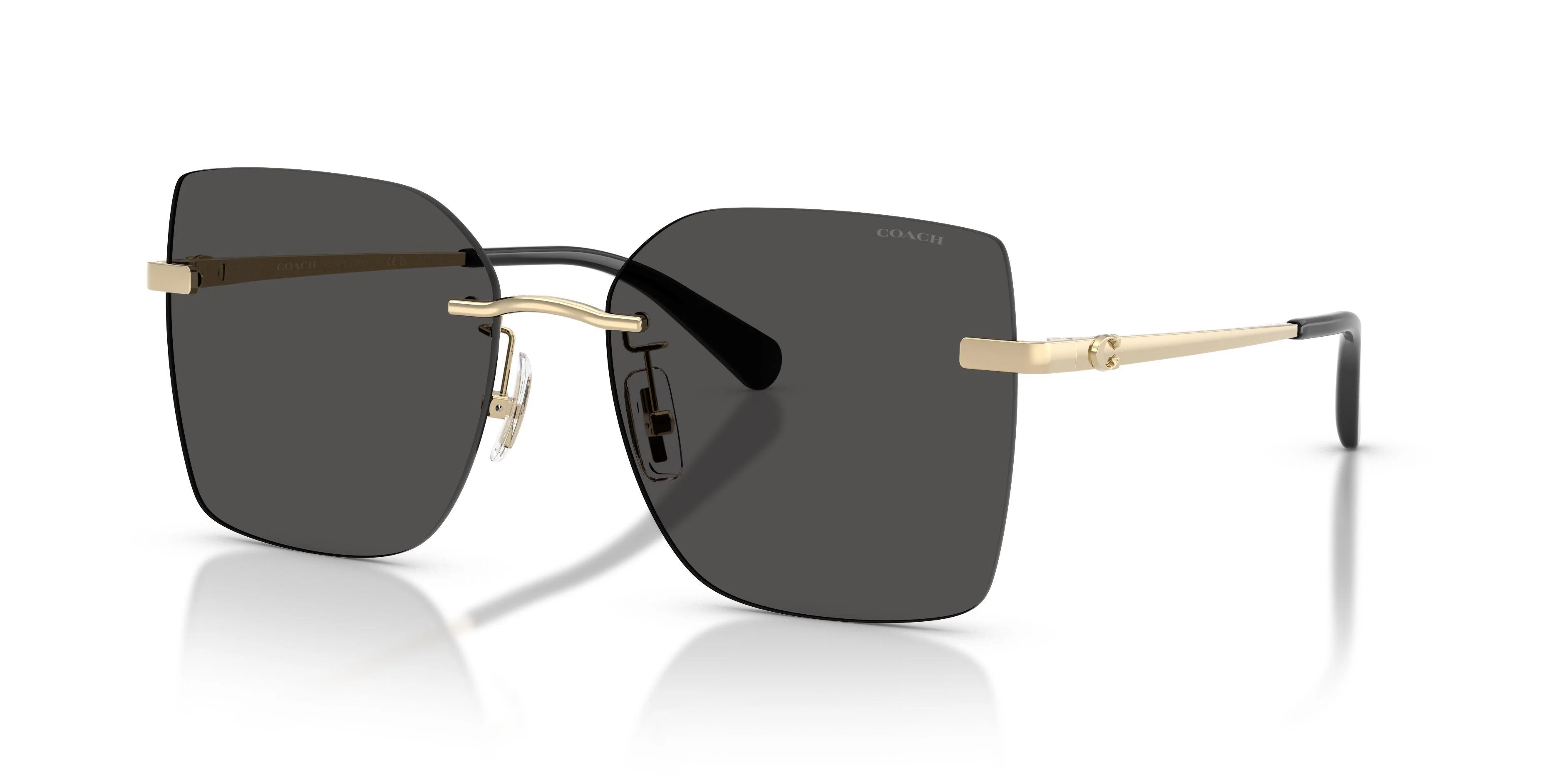 Coach Cdp45 7193D Sunglasses - Image 10