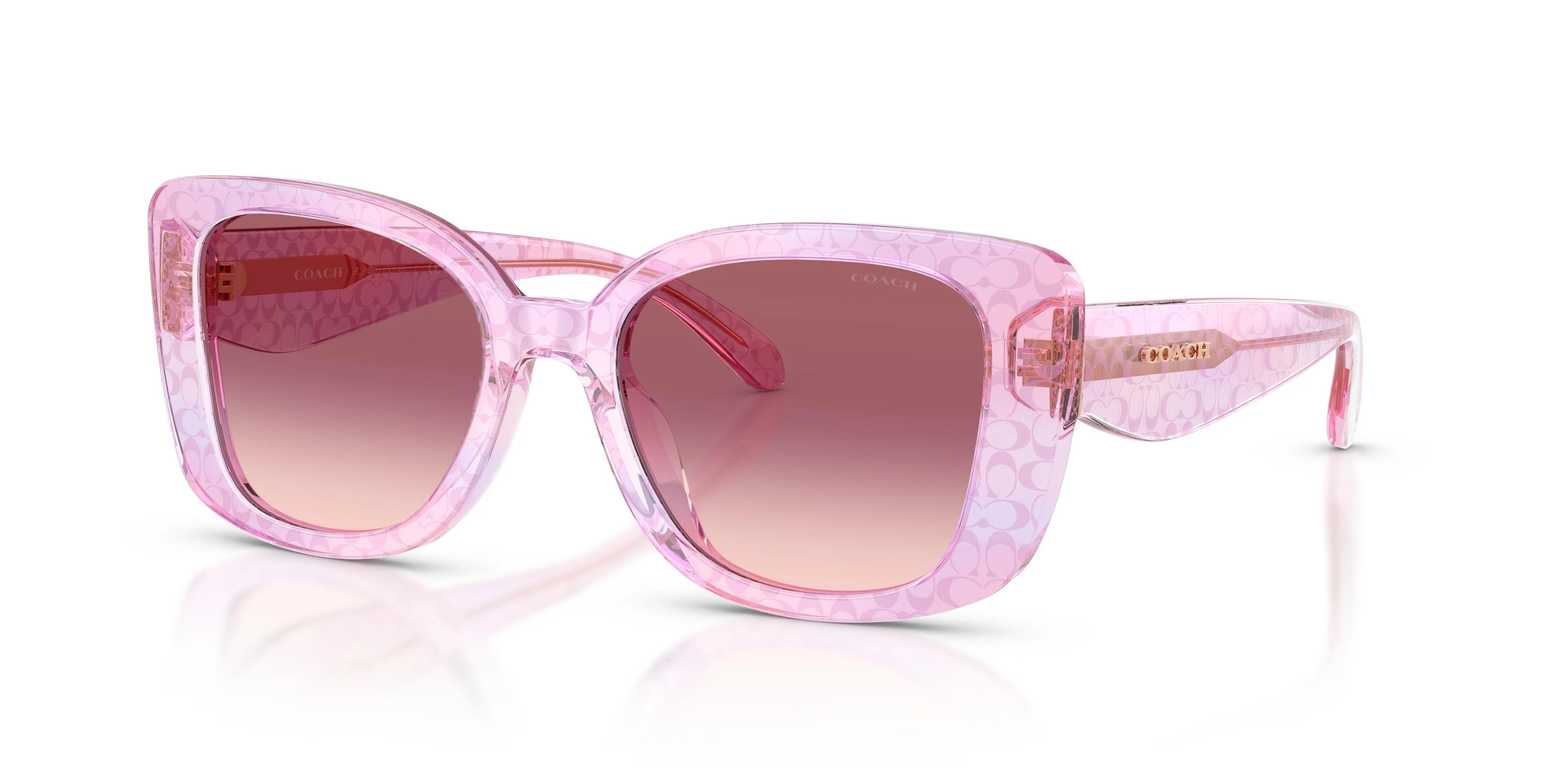 Coach Cdp48 8450U Sunglasses - Image 5
