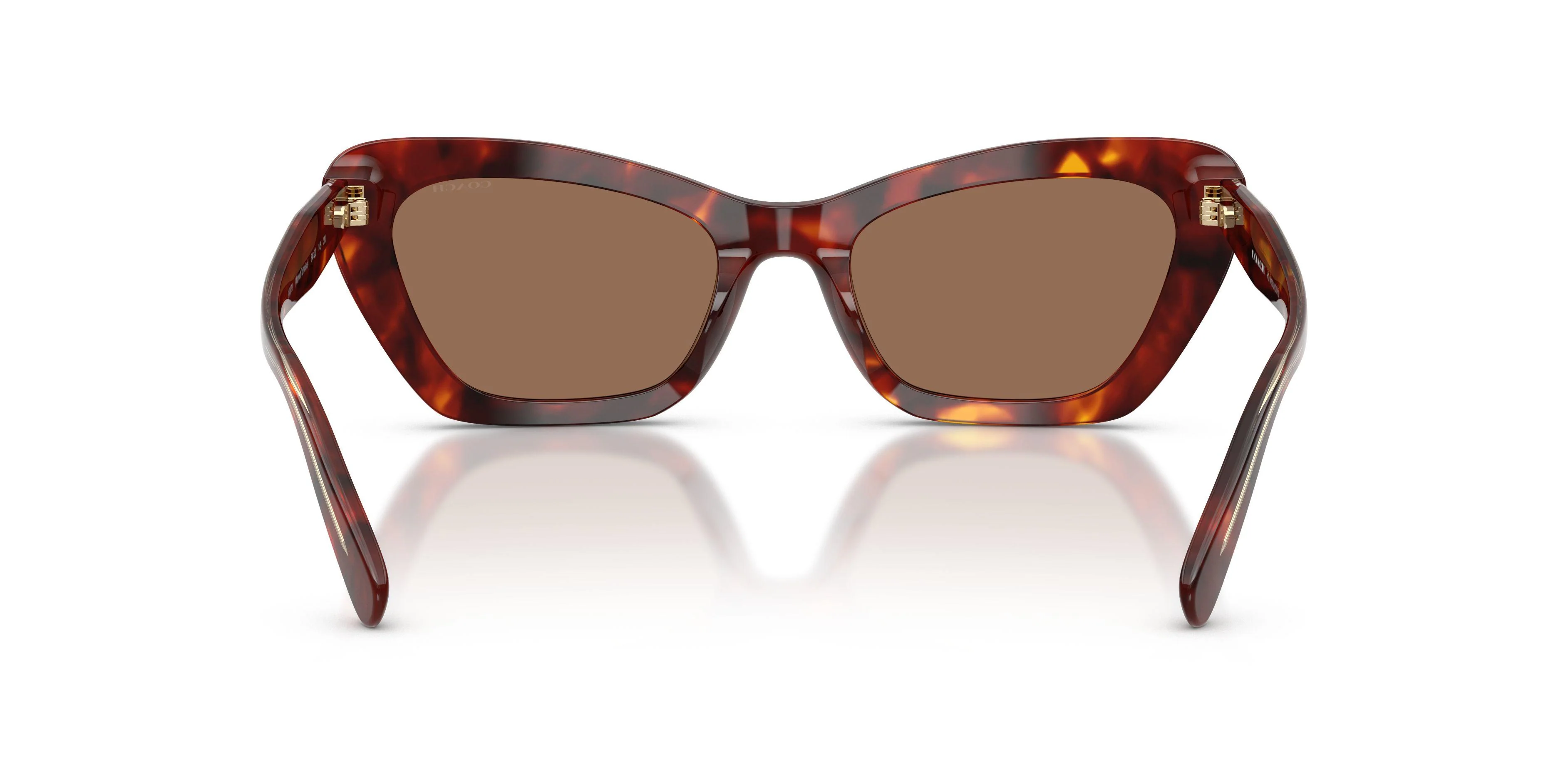 Coach Cdp52 8452U Sunglasses - Image 7