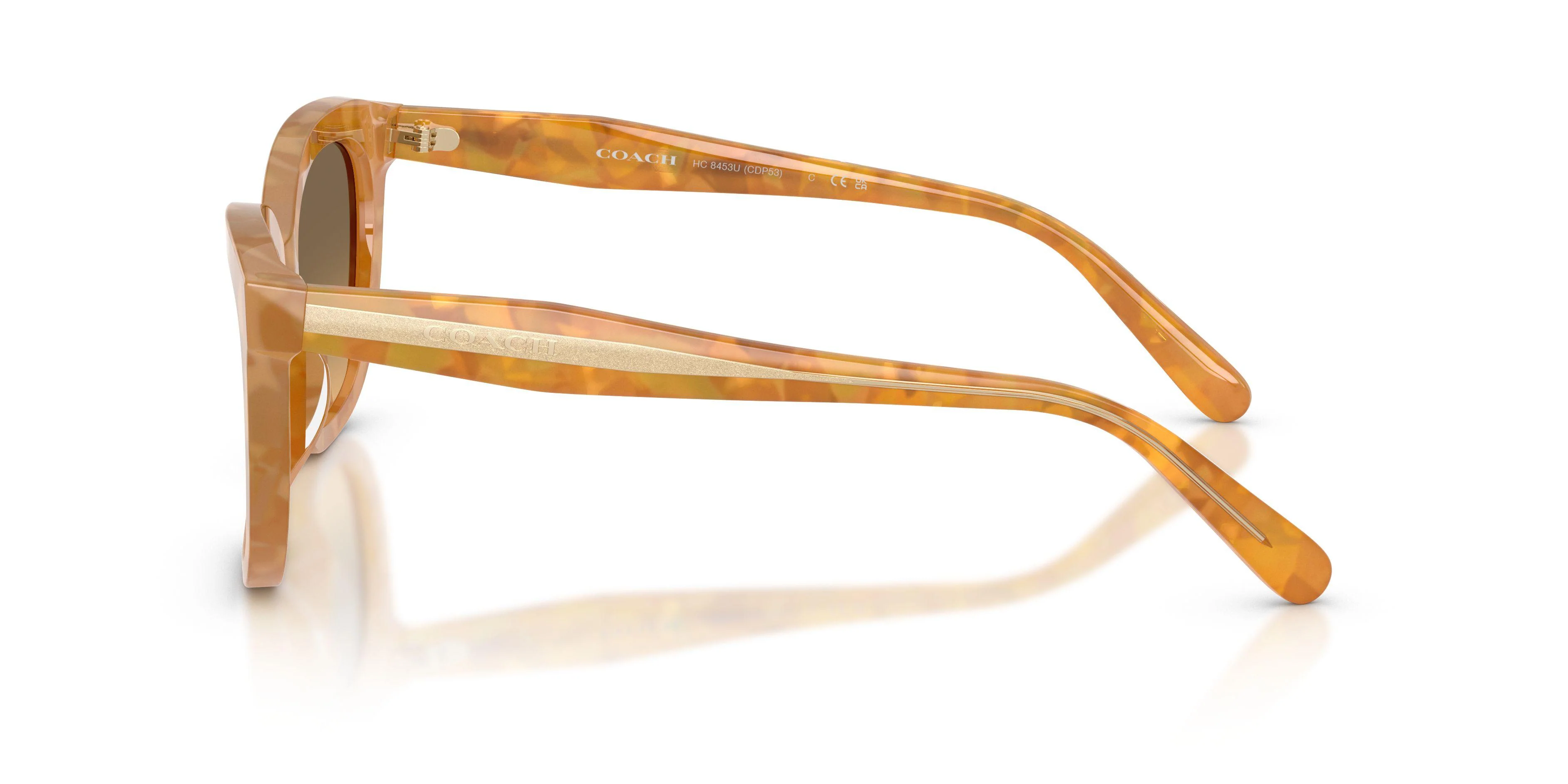 Coach Cdp53 8453U Sunglasses - Image 16