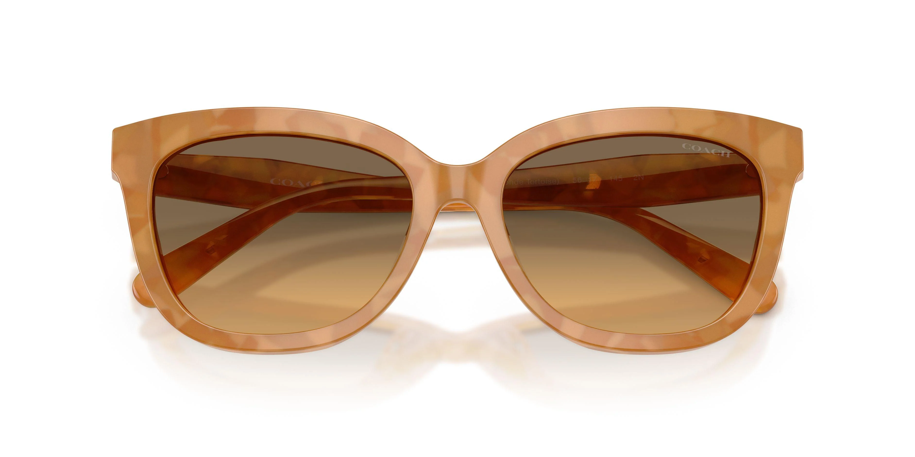 Coach Cdp53 8453U Sunglasses - Image 19