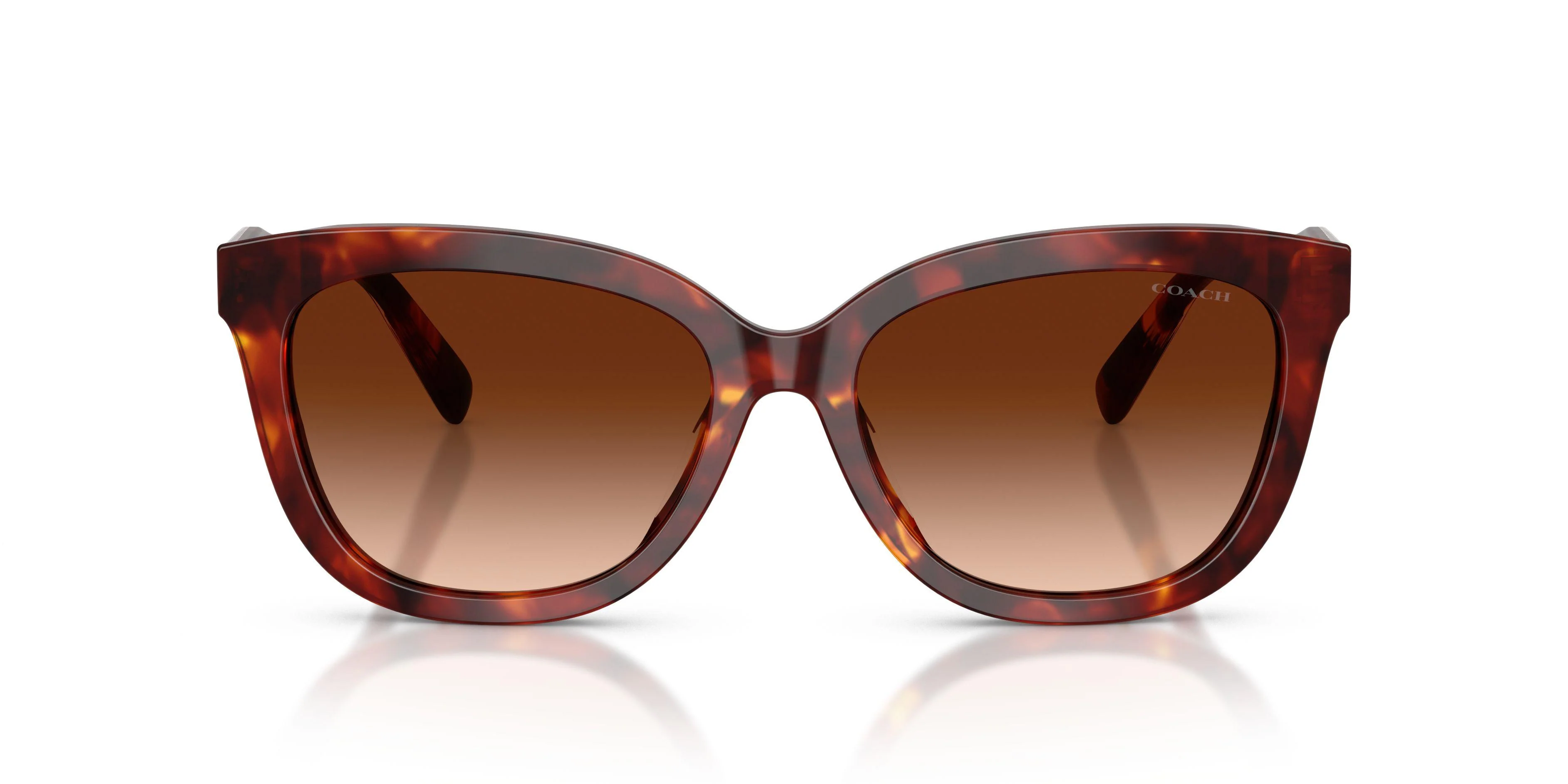 Coach Cdp53 8453U Sunglasses - Image 23