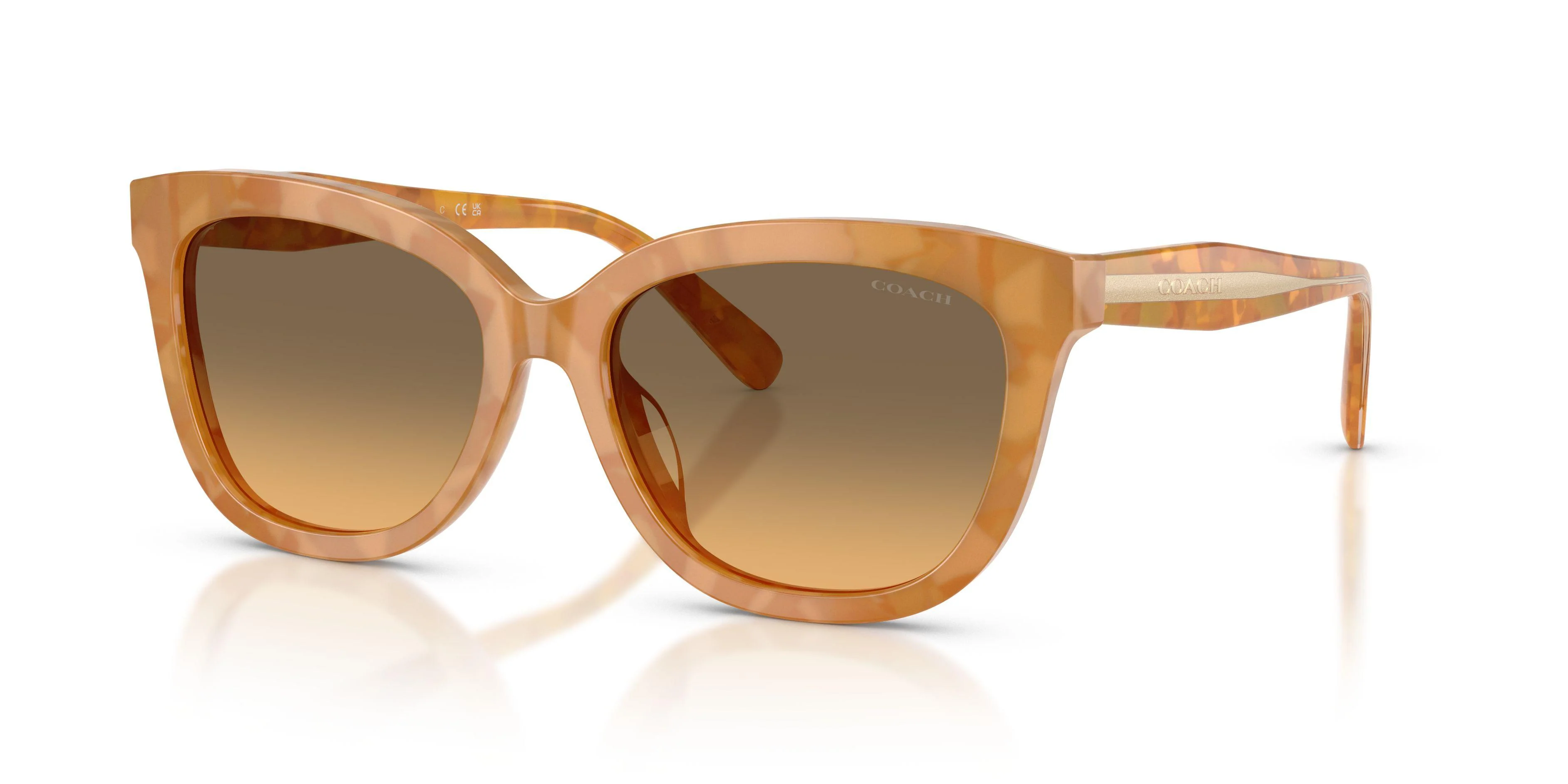 Coach Cdp53 8453U Sunglasses - Image 3