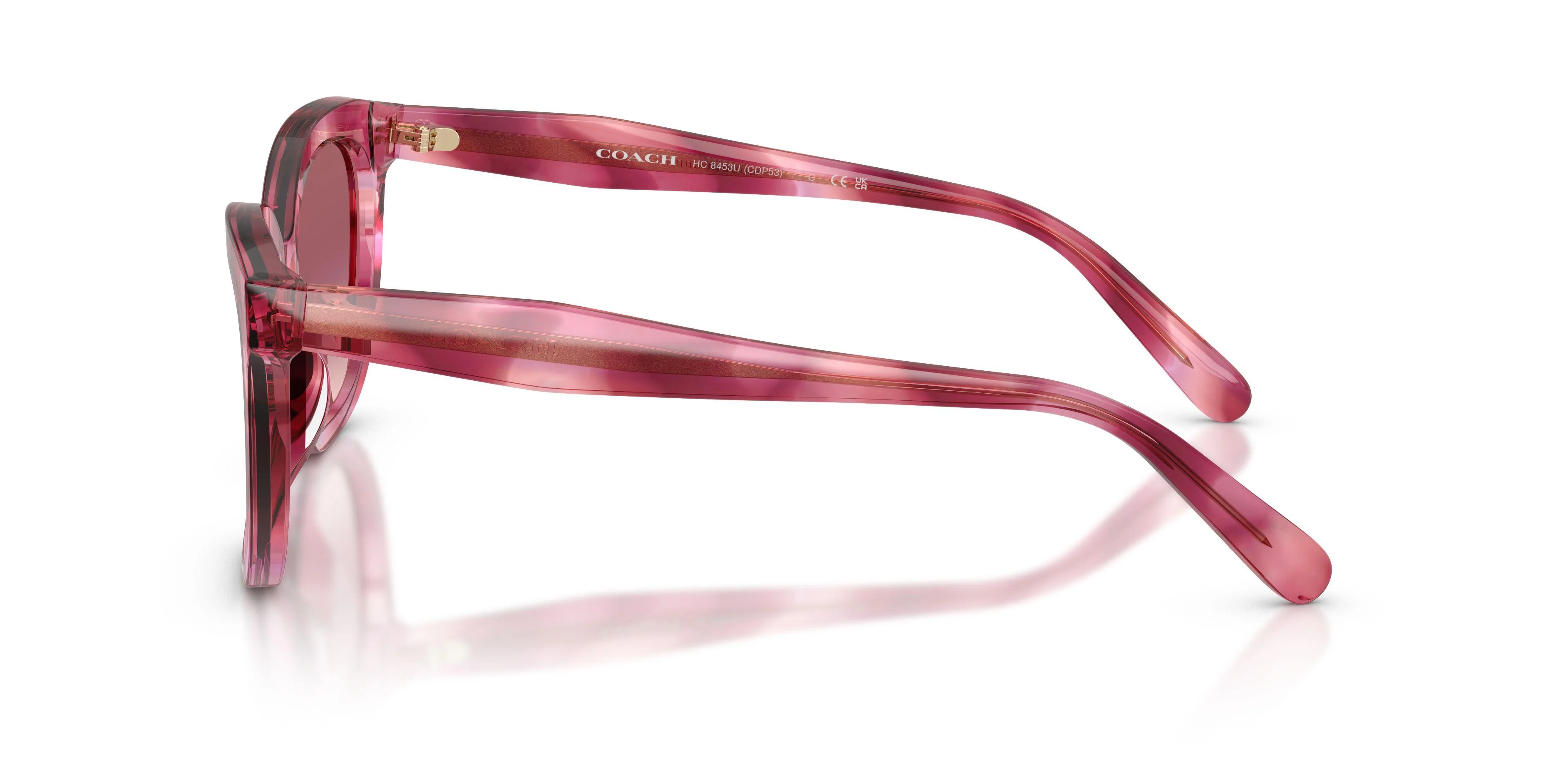 Coach Cdp53 8453U Sunglasses - Image 6