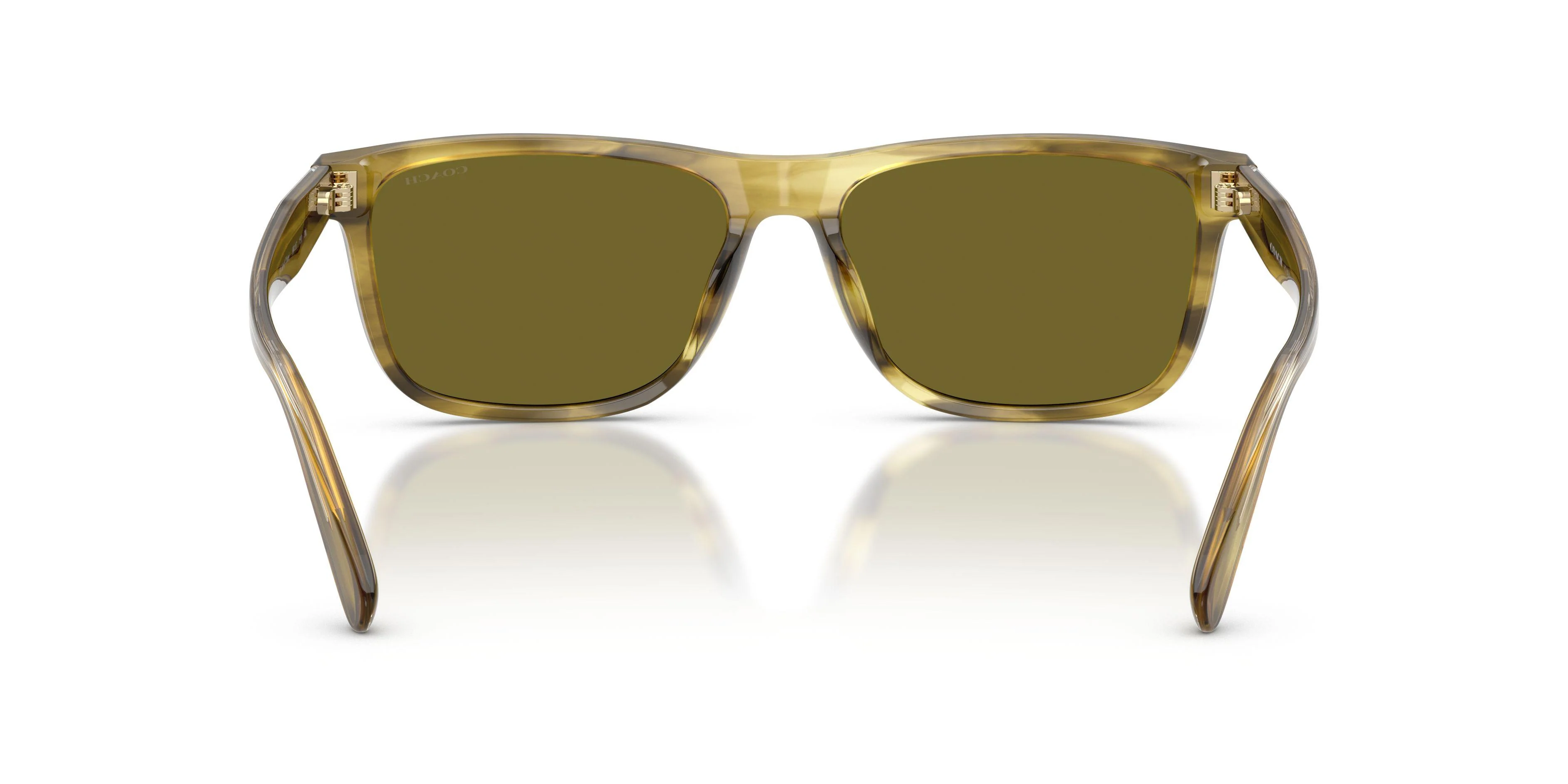 Coach Cdp55 8454U Sunglasses - Image 12