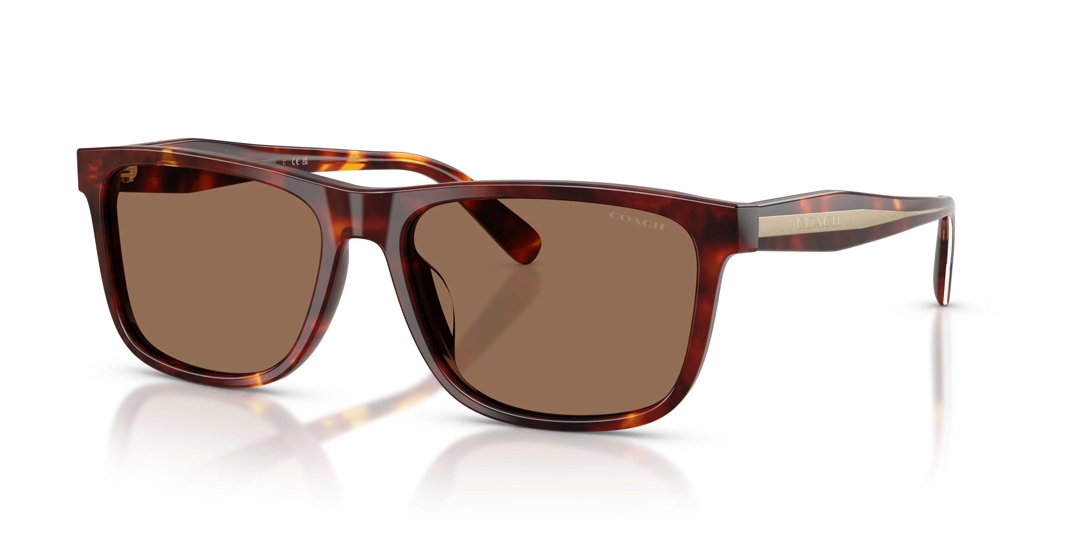 Coach Cdp55 8454U Sunglasses - Image 5