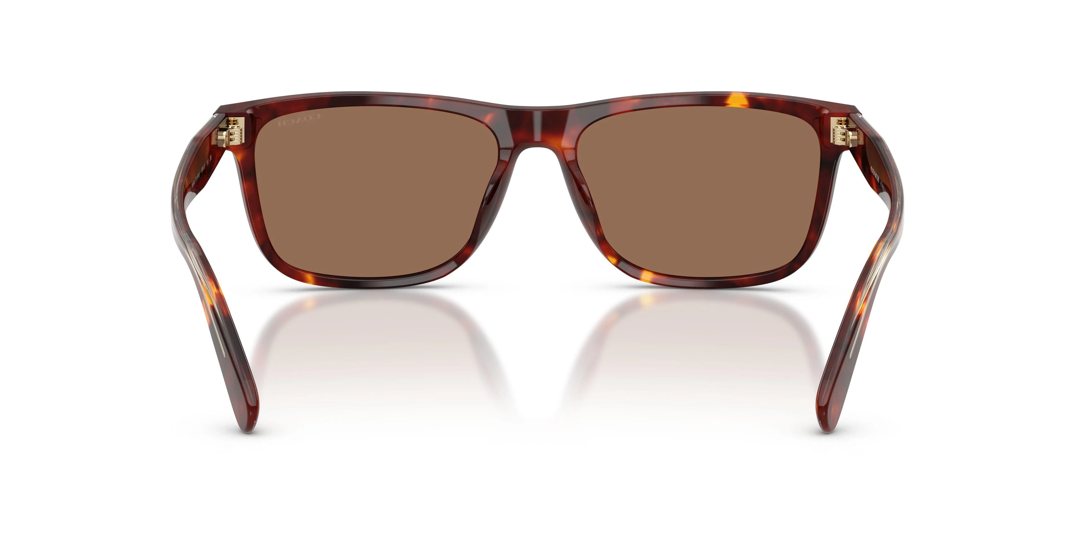 Coach Cdp55 8454U Sunglasses - Image 7