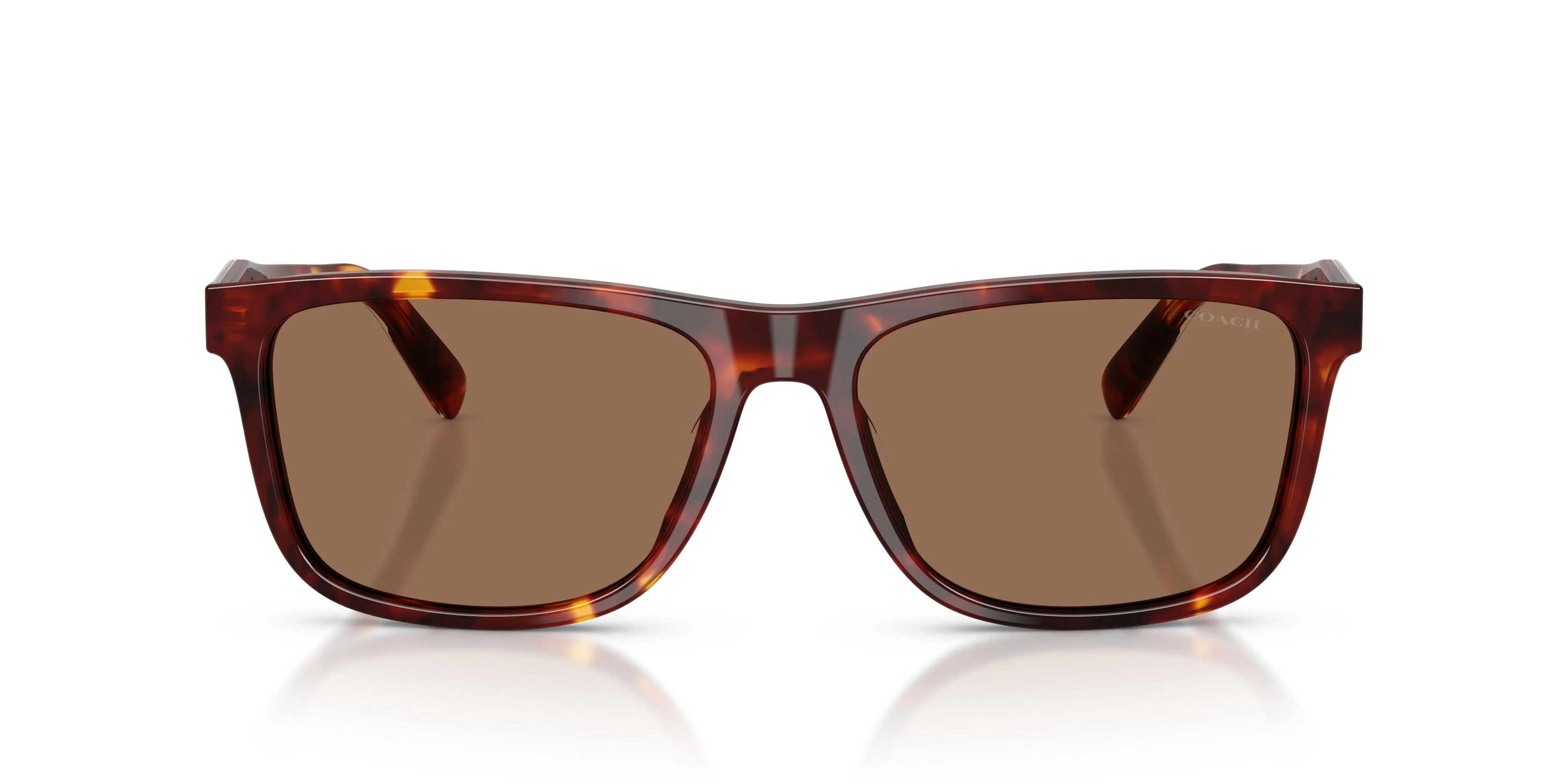 Coach Cdp55 8454U Sunglasses - Image 8
