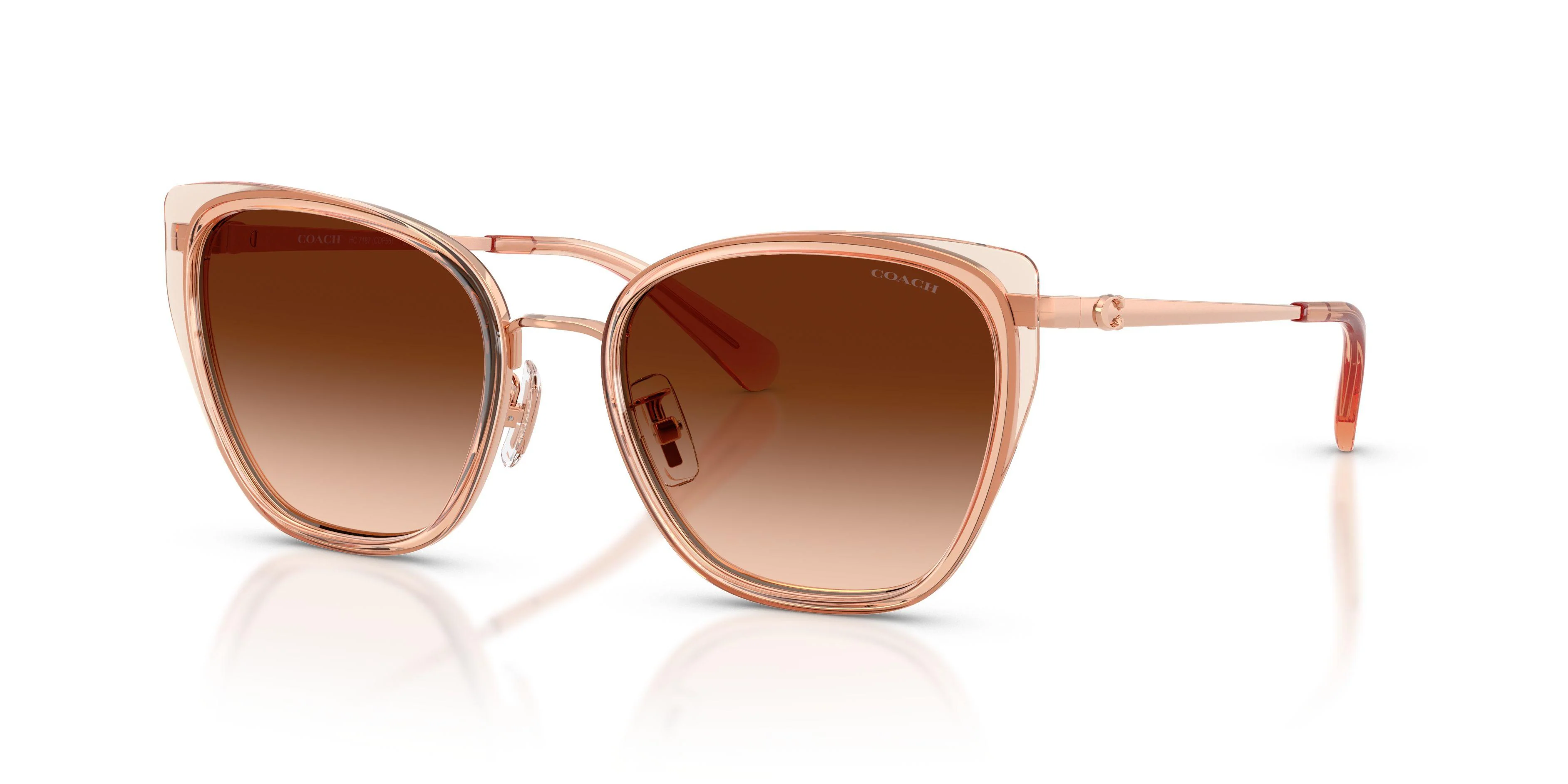 Coach Cdp56 7187 Sunglasses - Image 10