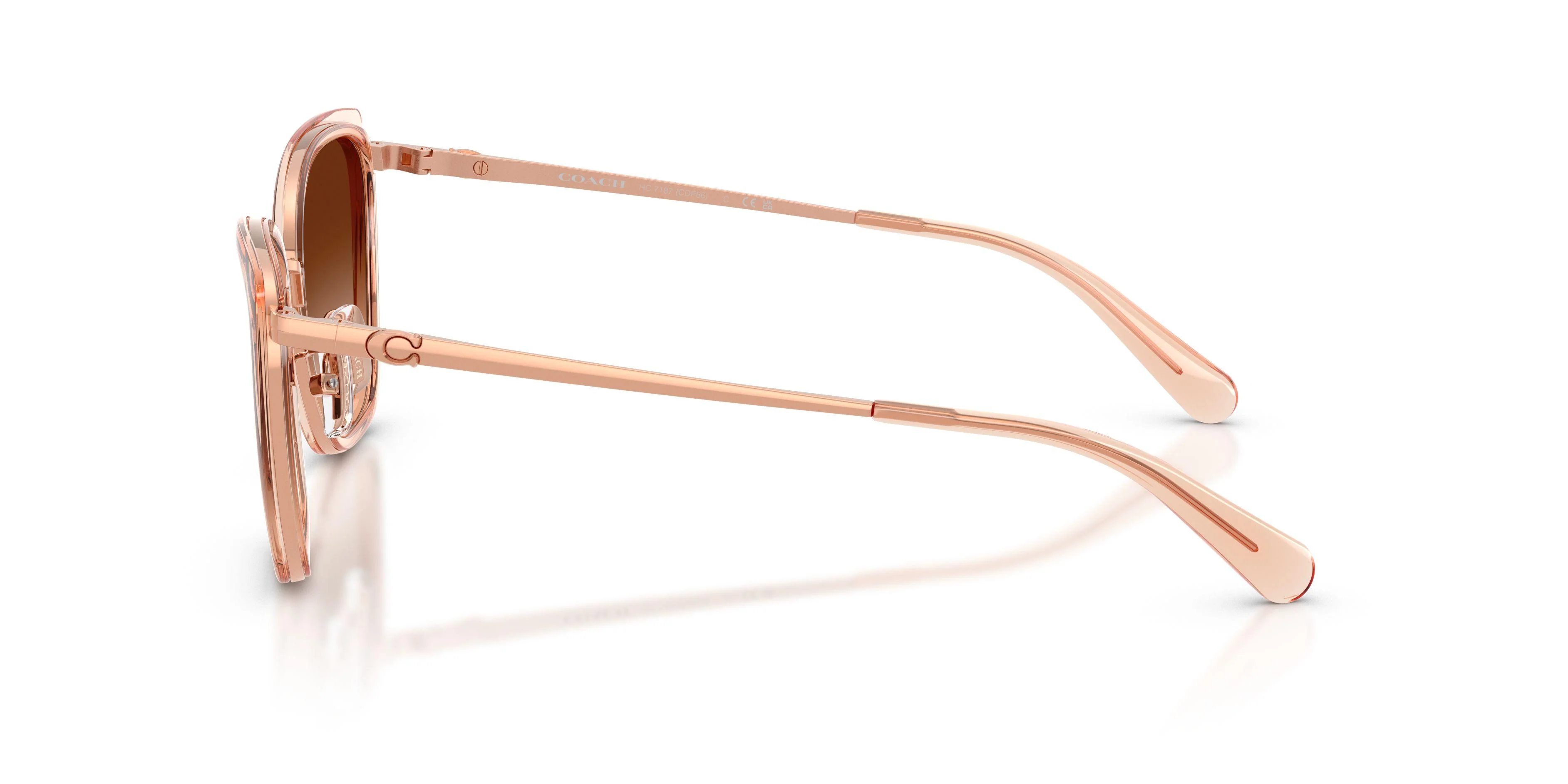Coach Cdp56 7187 Sunglasses - Image 11