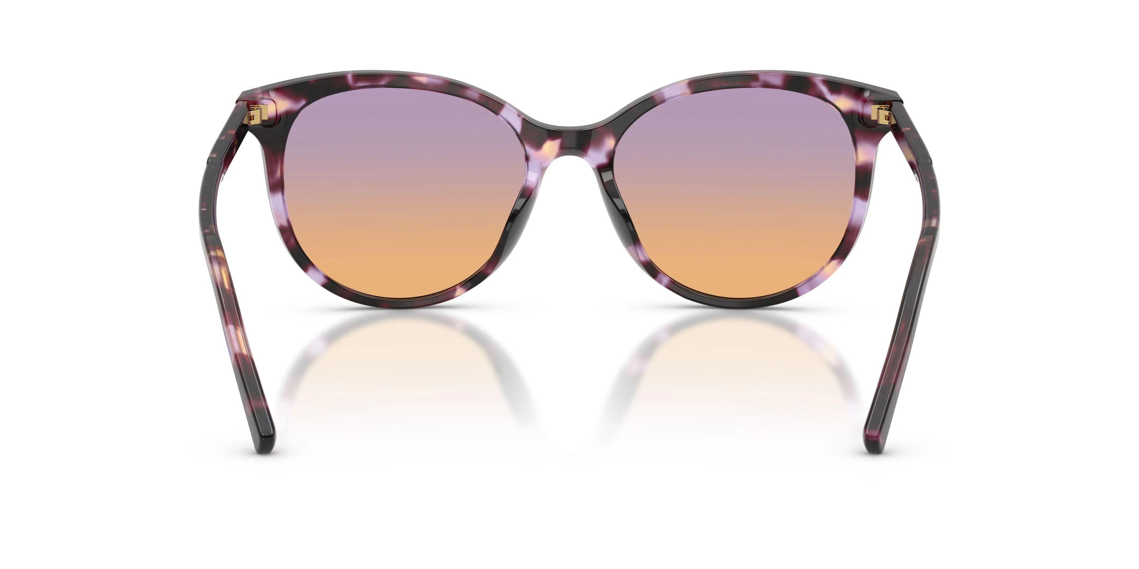 Dolce & Gabbana 4540 Sunglasses - Image 13