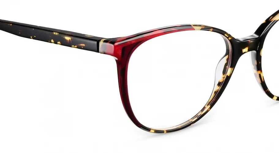 Etnia Barcelona ANNECY Eyeglasses - Image 6