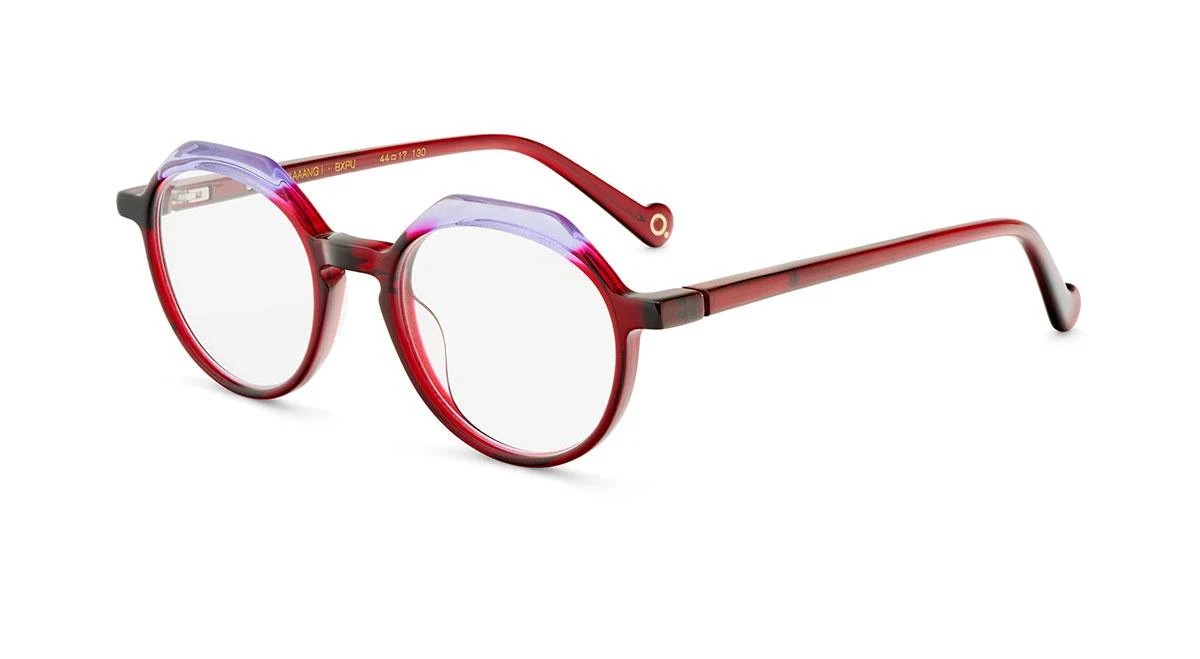 Etnia Barcelona BAAAANG Eyeglasses - Image 5