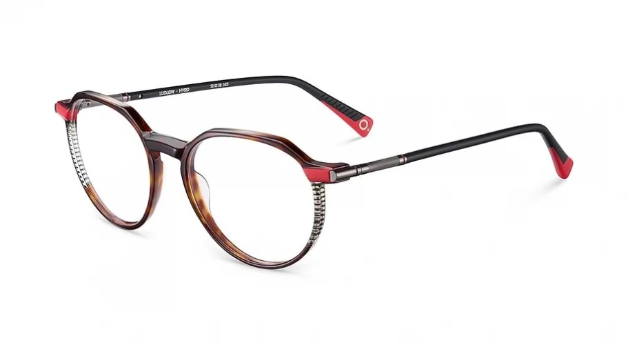 Etnia Barcelona LUDLOW Eyeglasses - Image 8