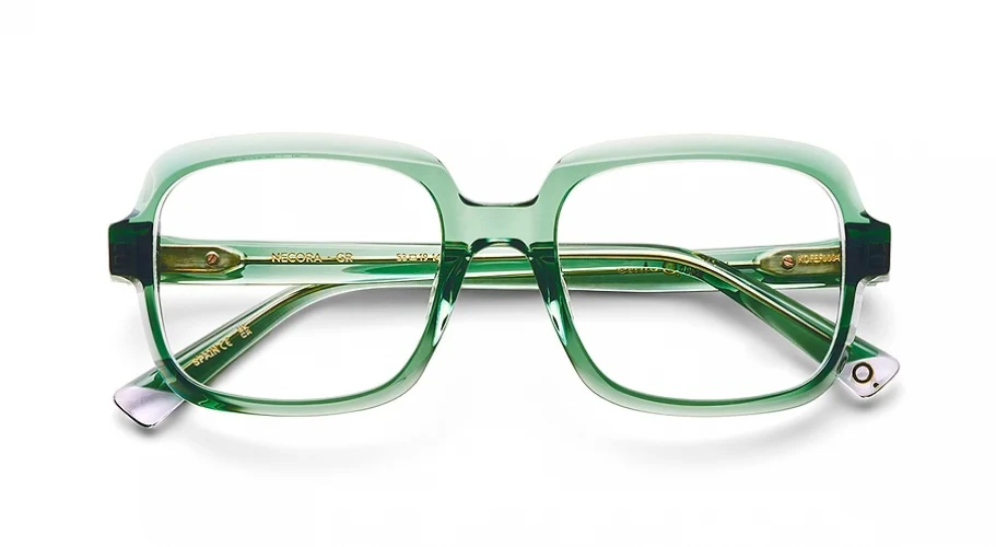 Etnia Barcelona NECORA Eyeglasses - Image 10