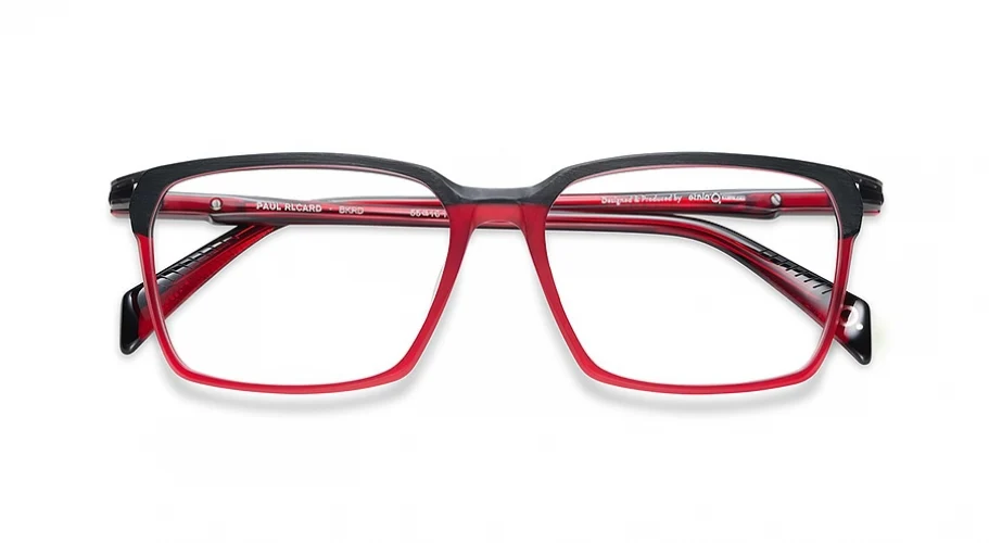 Etnia Barcelona PAUL RICARD Eyeglasses