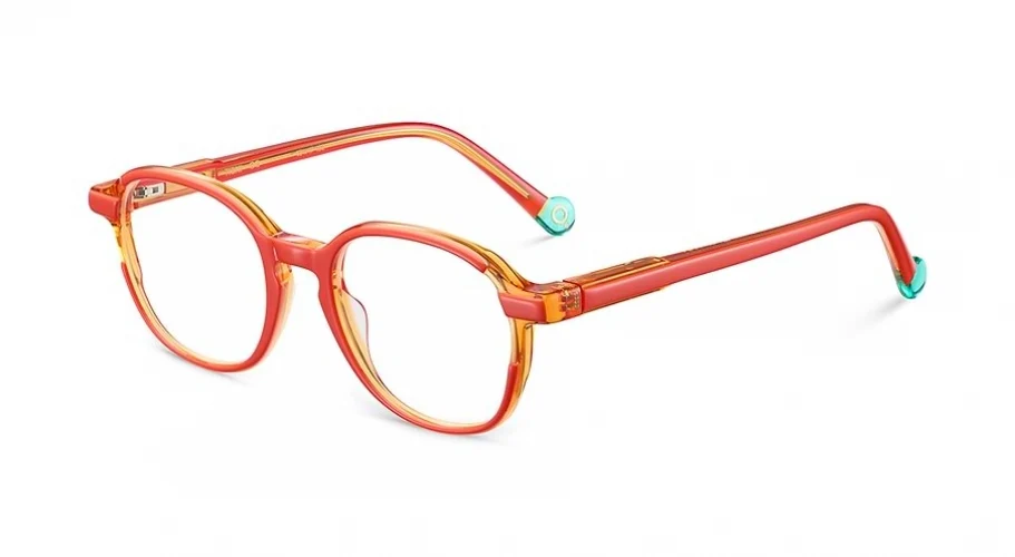 Etnia Barcelona TIBNI Eyeglasses - Image 5