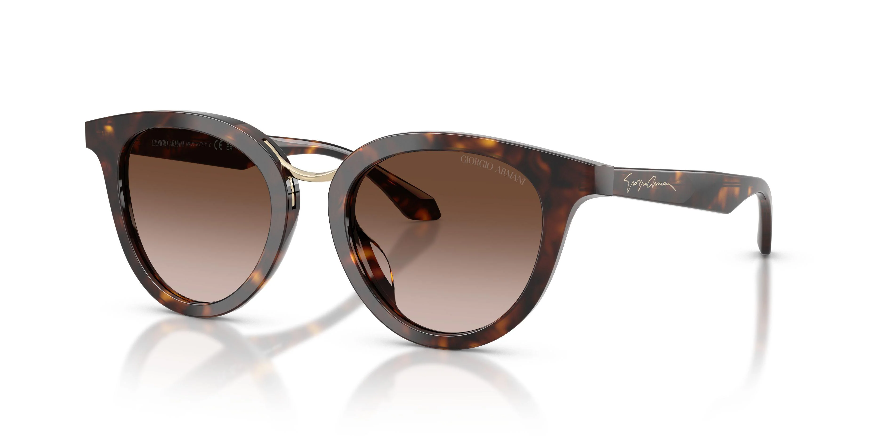 Giorgio Armani 8252U Sunglasses