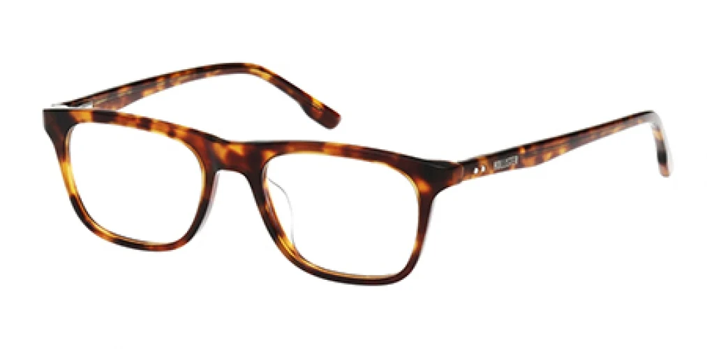 HOLLISTER 50044 Eyeglasses