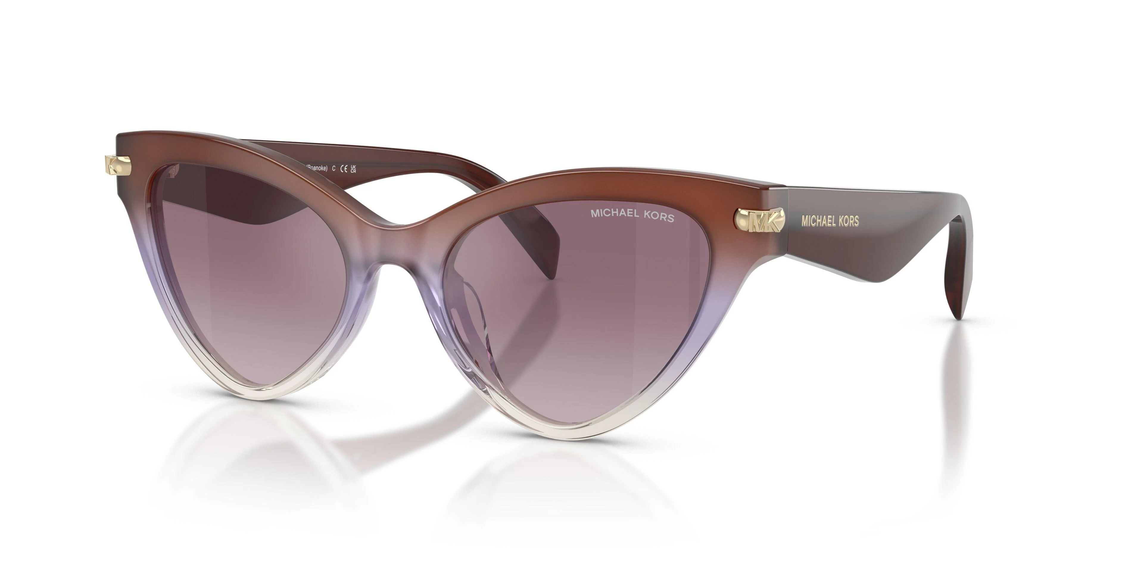 Michael Kors Roanoke 2259U Sunglasses - Image 14