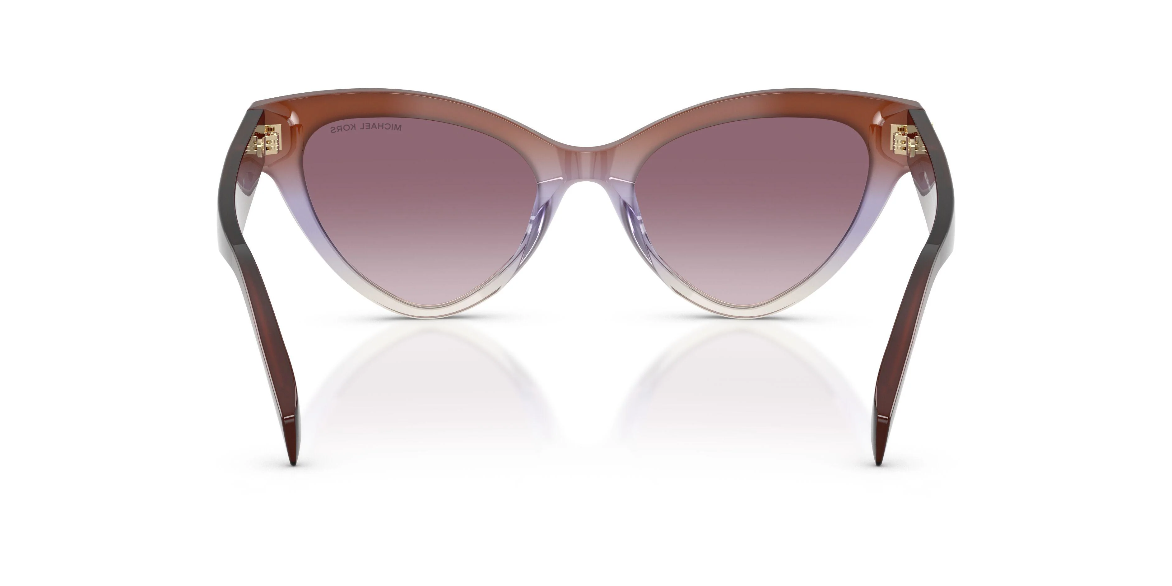 Michael Kors Roanoke 2259U Sunglasses - Image 16