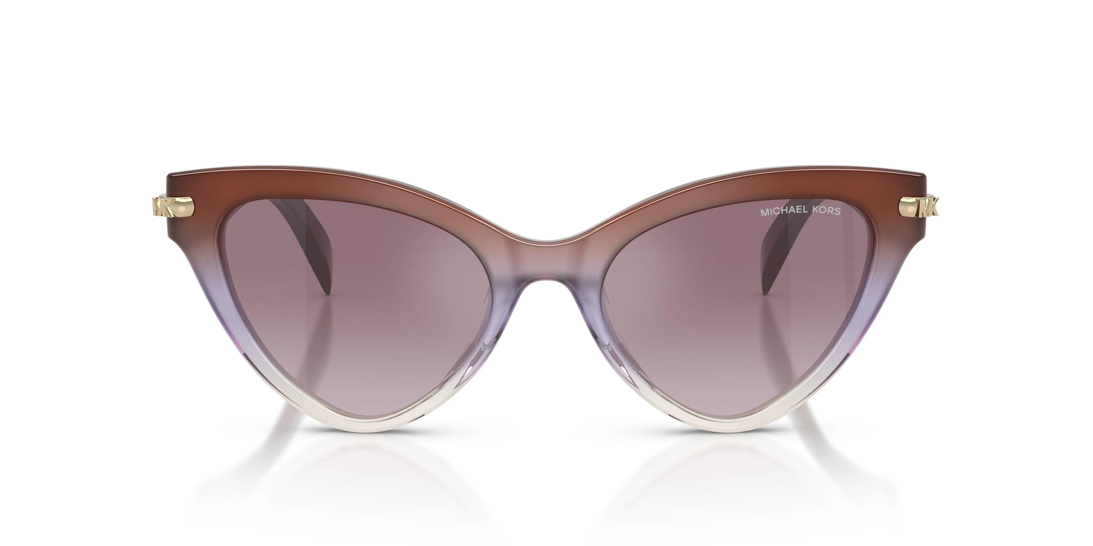 Michael Kors Roanoke 2259U Sunglasses - Image 17