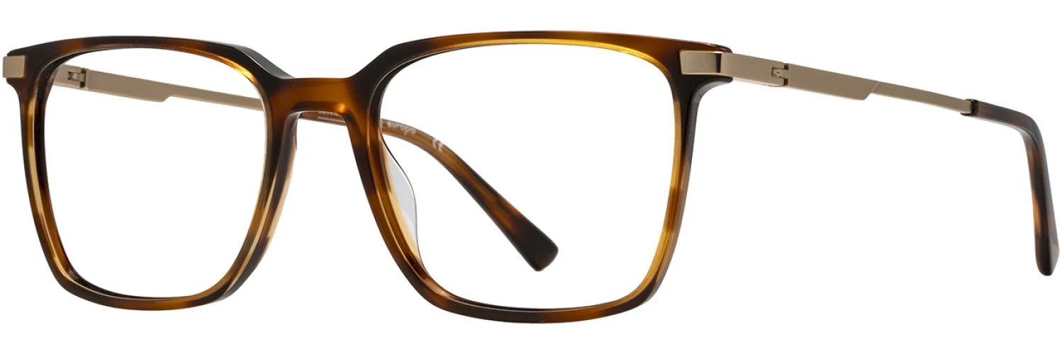 Michael Ryen MR462 Eyeglasses - Image 6