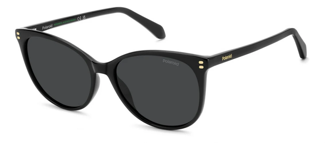 Polaroid Core PLD4200 Sunglasses