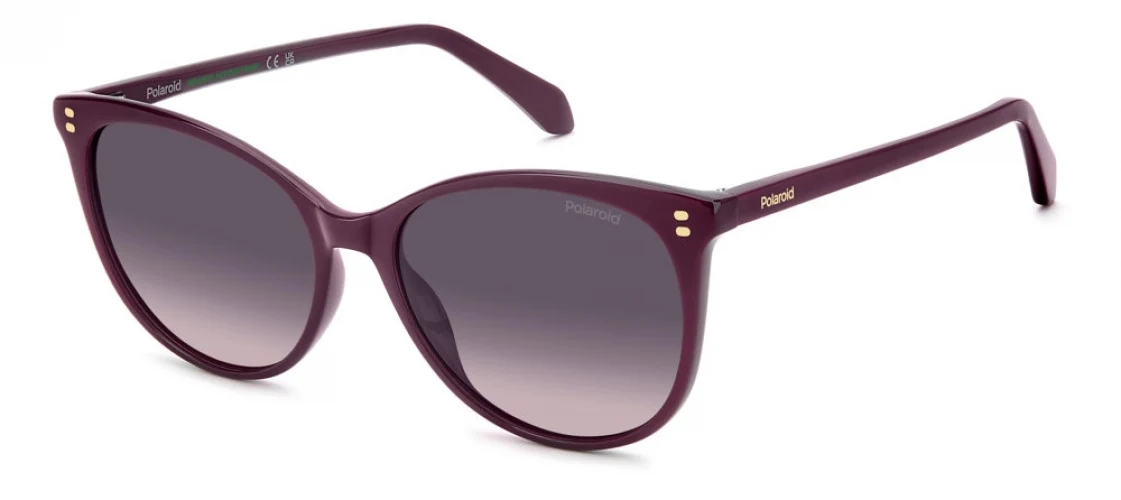 Polaroid Core PLD4200 Sunglasses - Image 3
