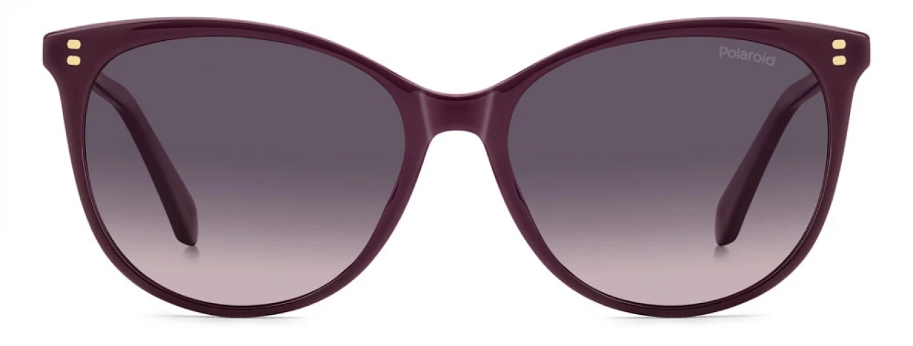 Polaroid Core PLD4200 Sunglasses - Image 4