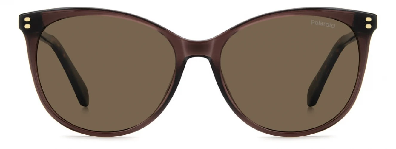 Polaroid Core PLD4200 Sunglasses - Image 6