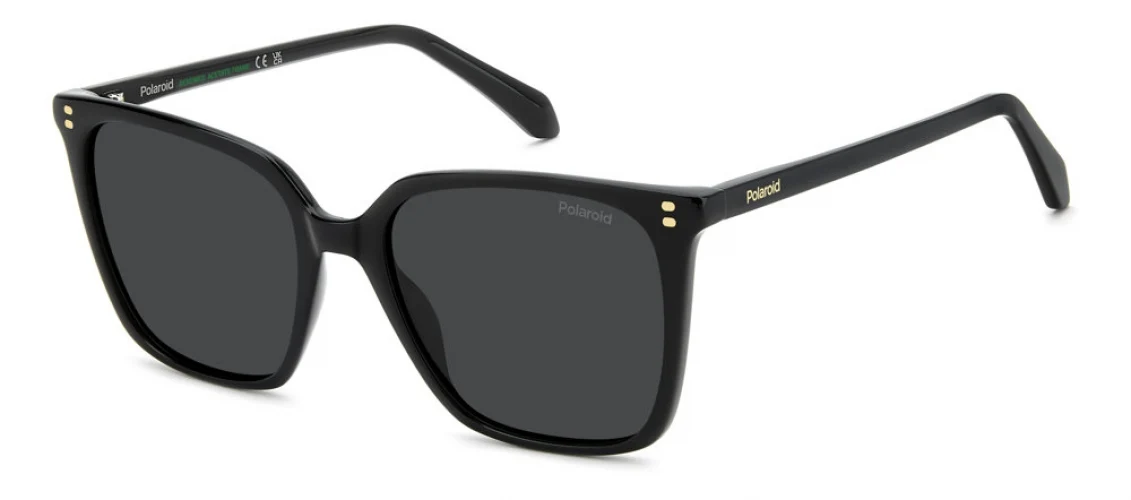 Polaroid Core PLD4201 Sunglasses - Image 3