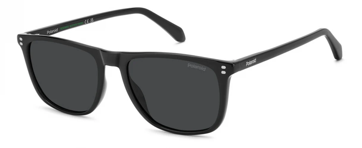 Polaroid Core PLD4202 Sunglasses