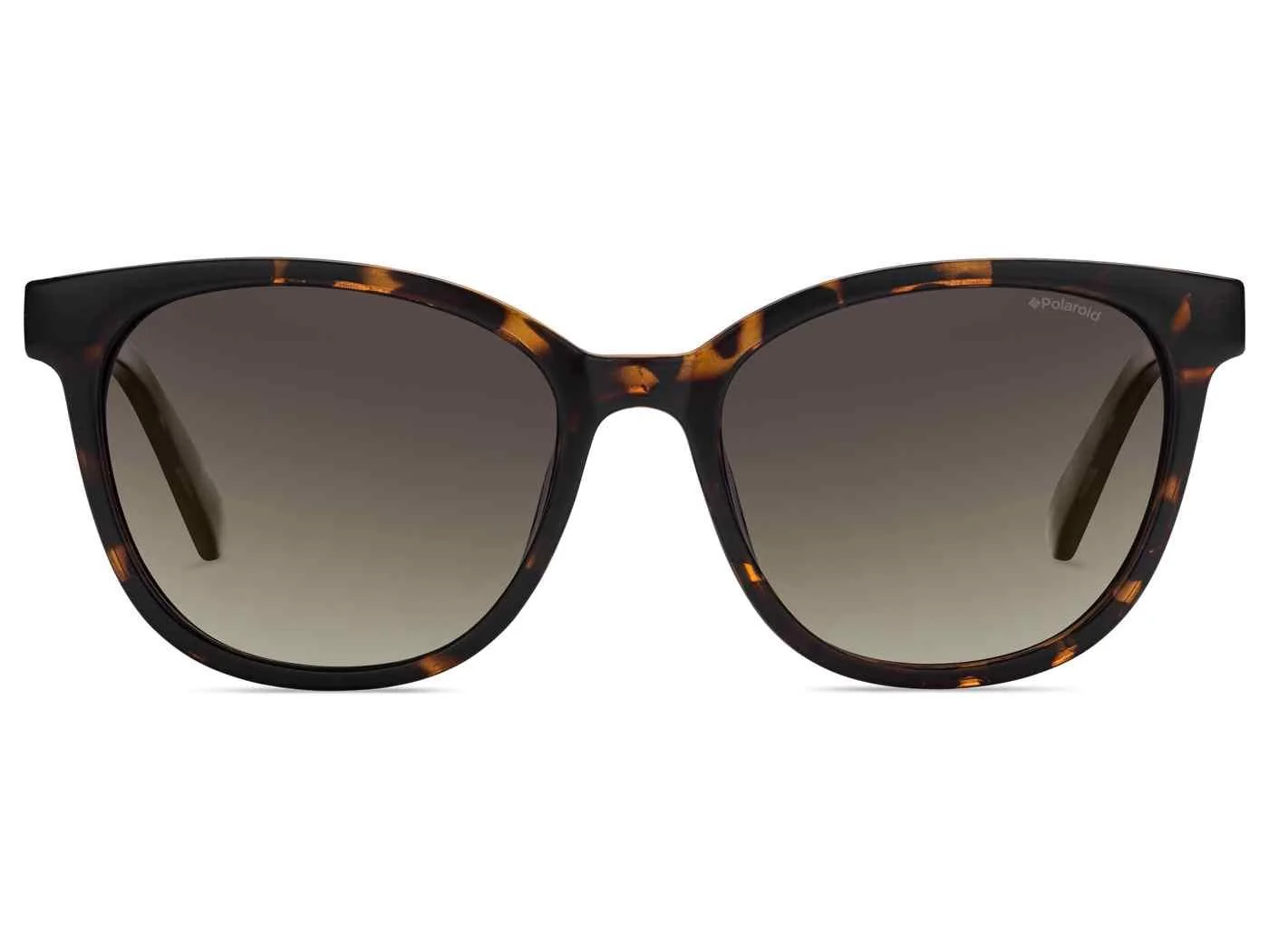 Polaroid Core Pld5015 Sunglasses - Image 5