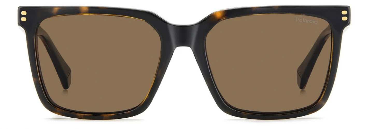 Polaroid Core PLDD556 Eyeglasses - Image 8