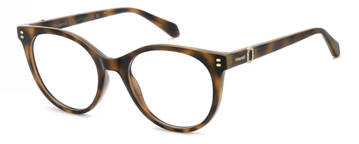 Polaroid Core PLDD601 Eyeglasses