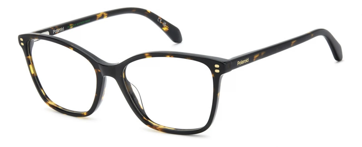 Polaroid Core PLDD608 Eyeglasses
