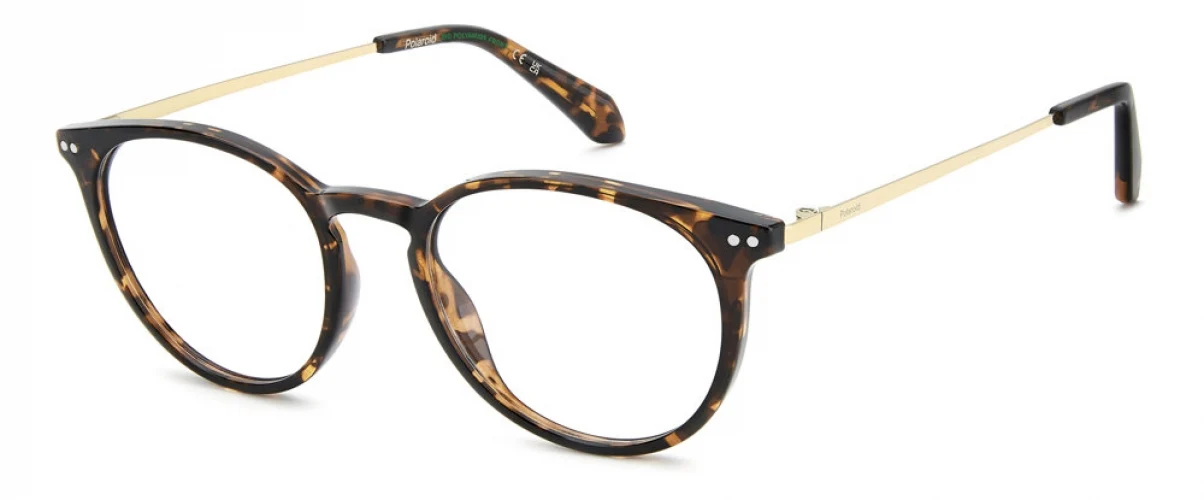 Polaroid Core PLDD617 Eyeglasses - Image 5