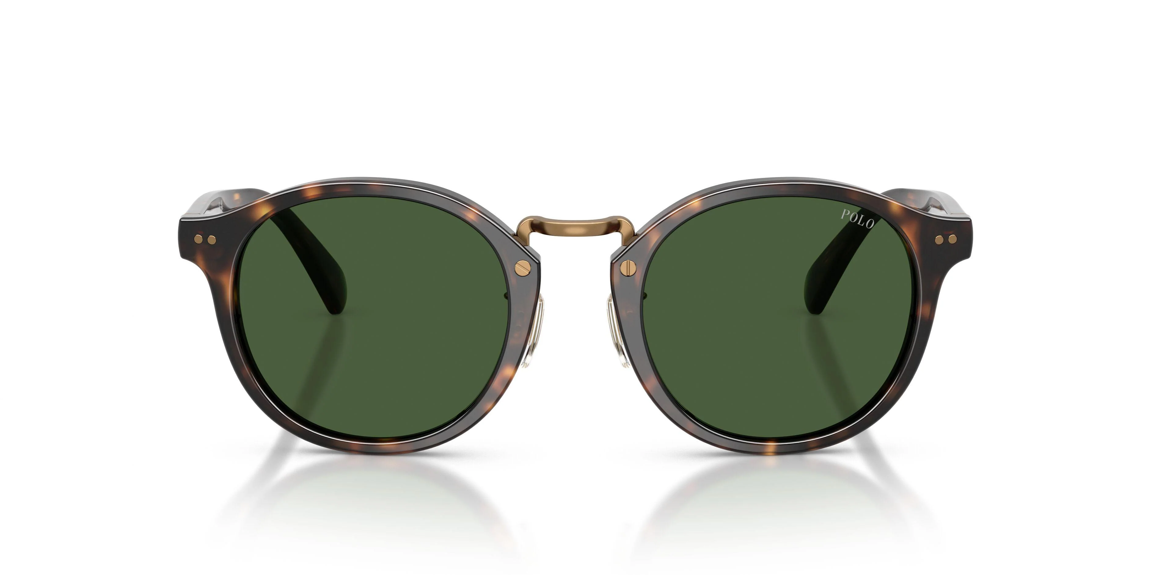 Polo 4230 Sunglasses - Image 22
