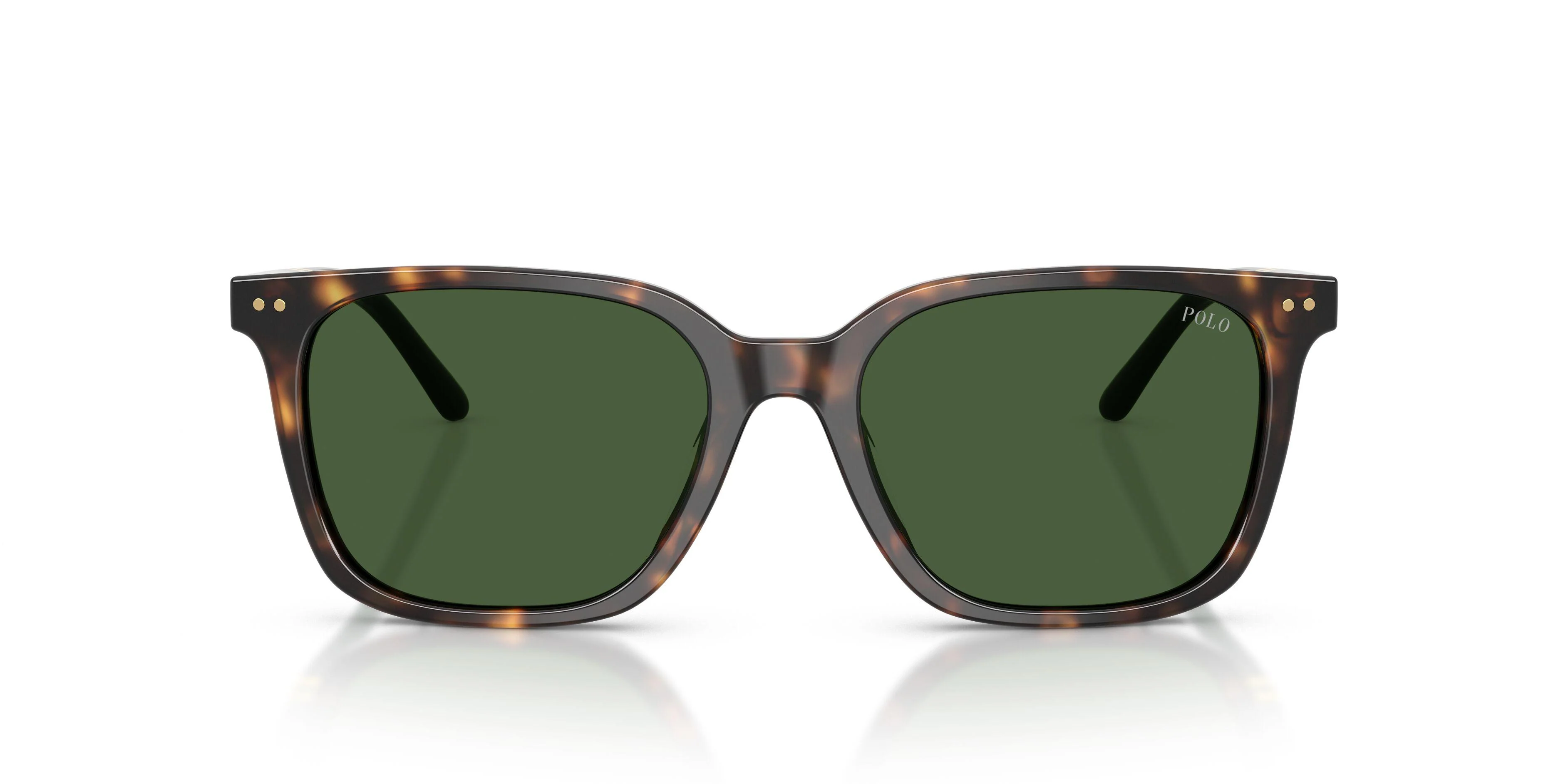 Polo 4235U Sunglasses - Image 19