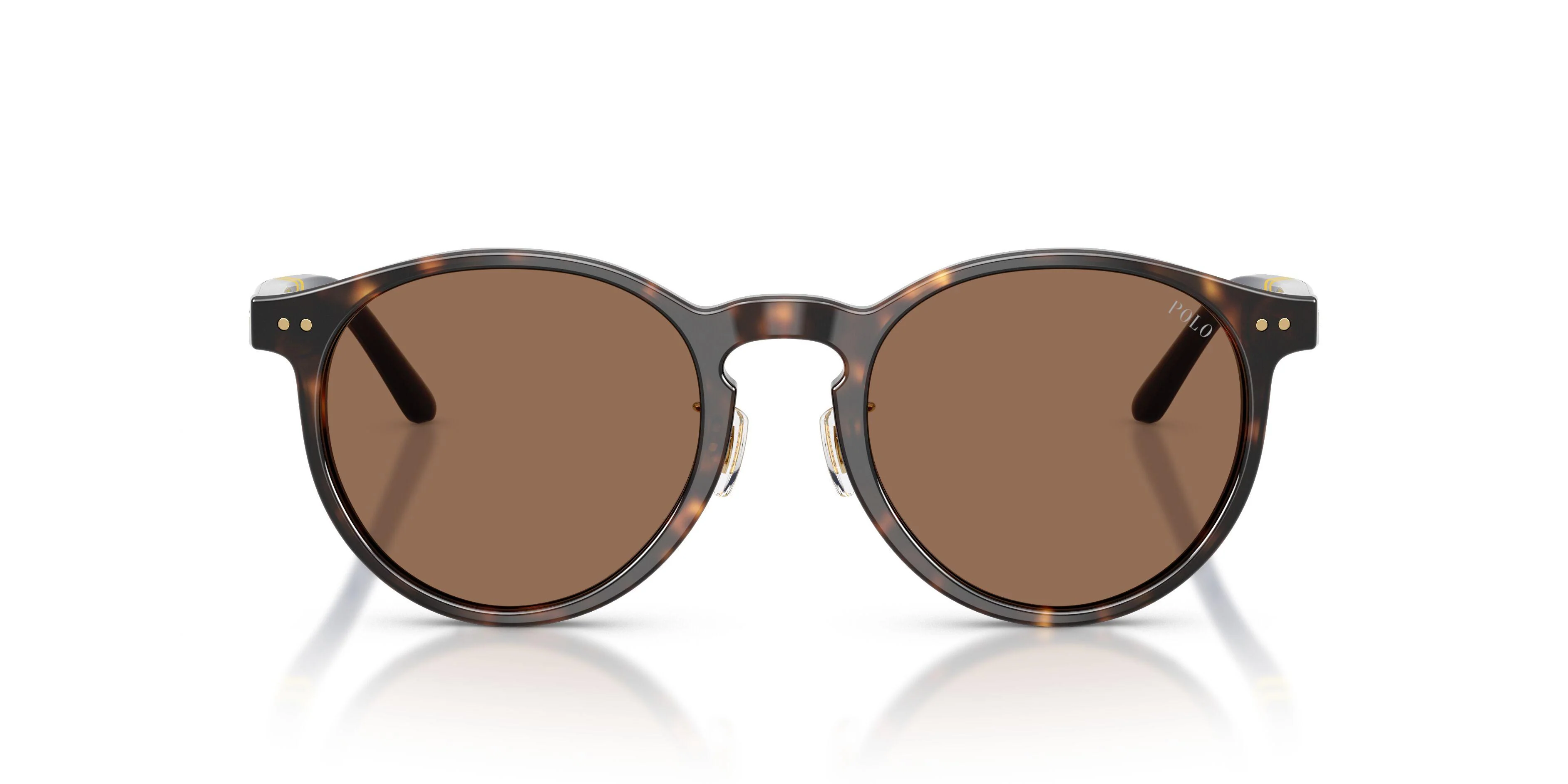 Polo 4236F Sunglasses - Image 12