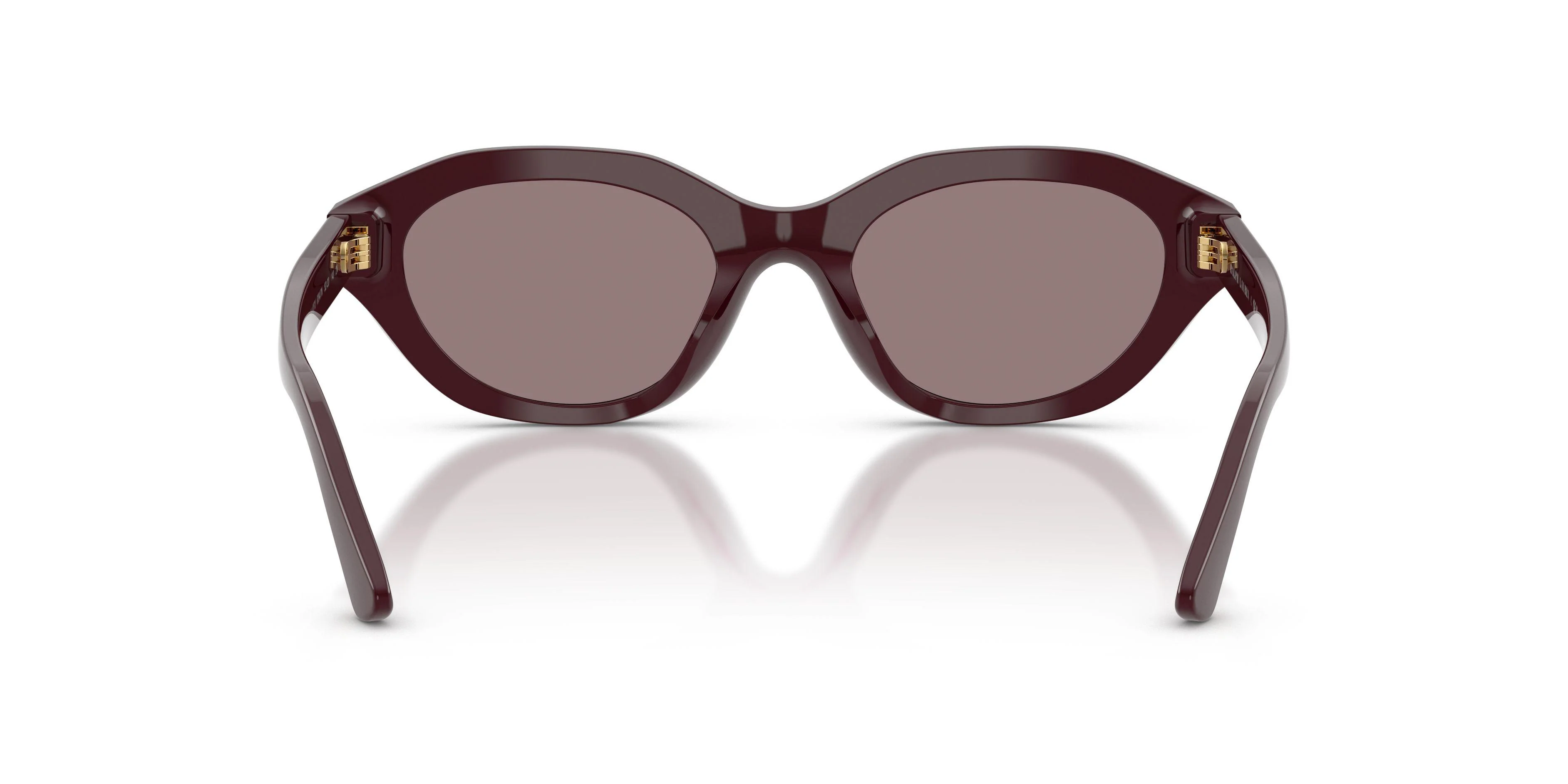 Polo 4237U Sunglasses - Image 23