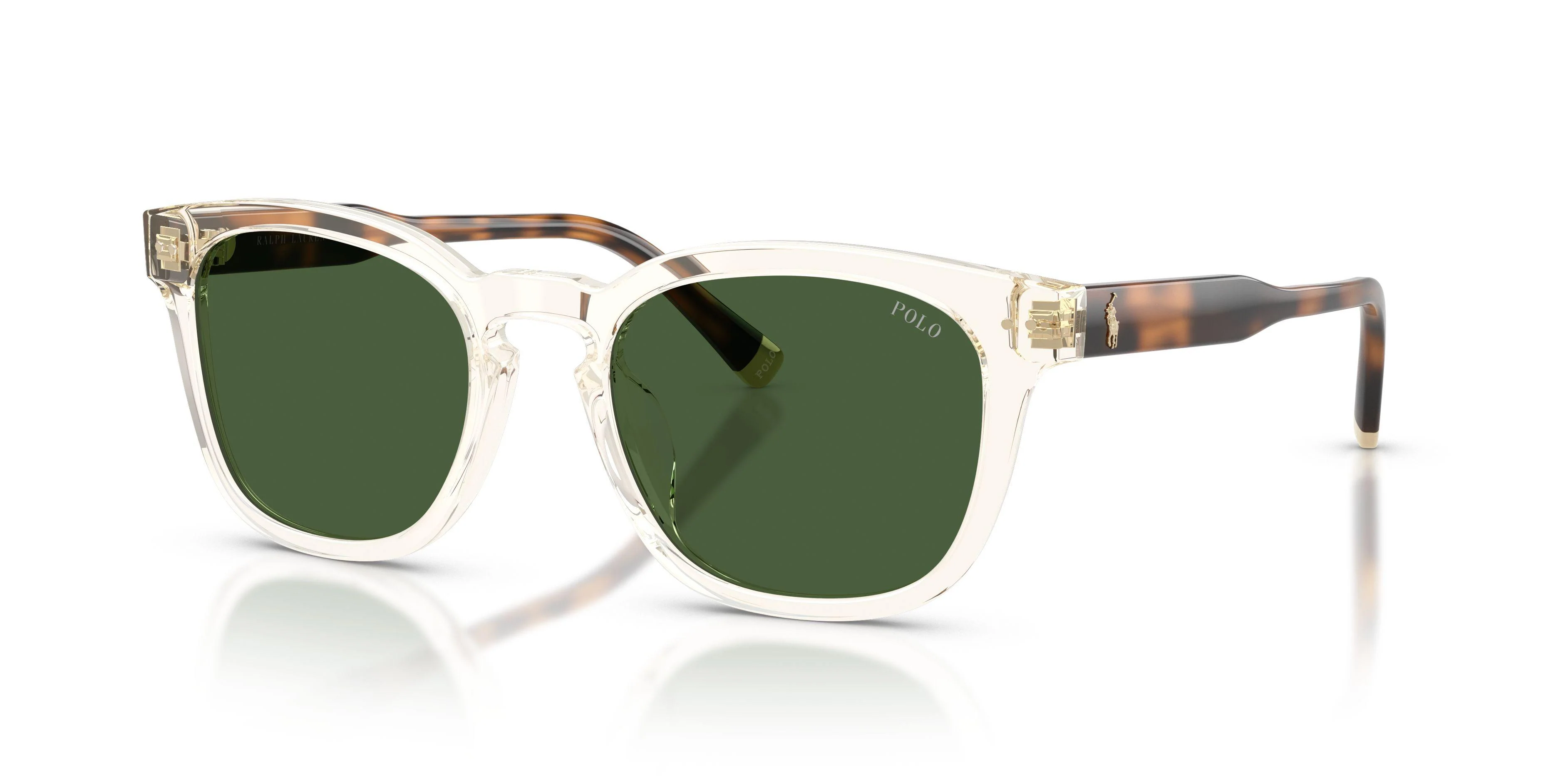 Polo 4242U Sunglasses
