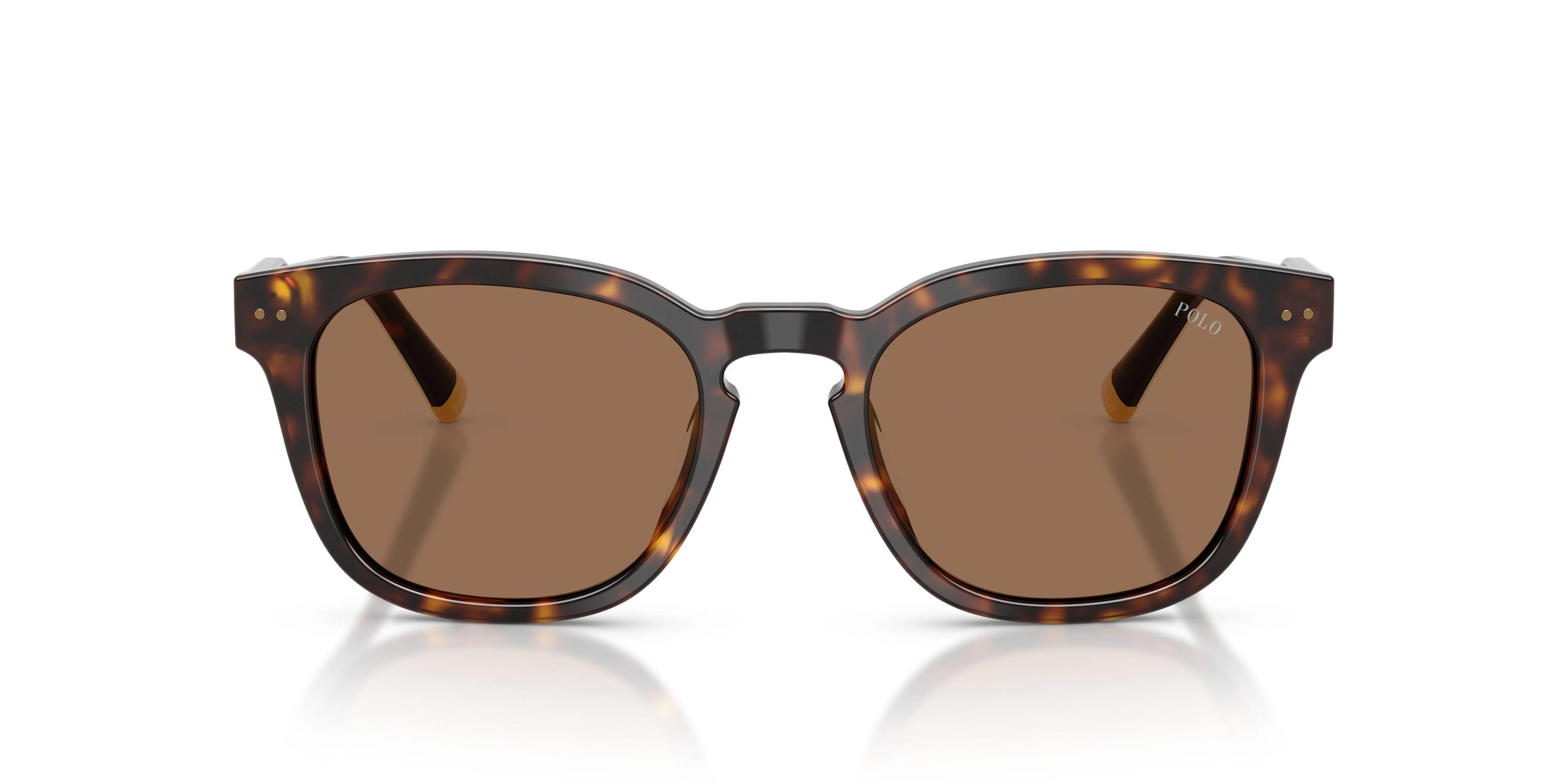 Polo 4242U Sunglasses - Image 14