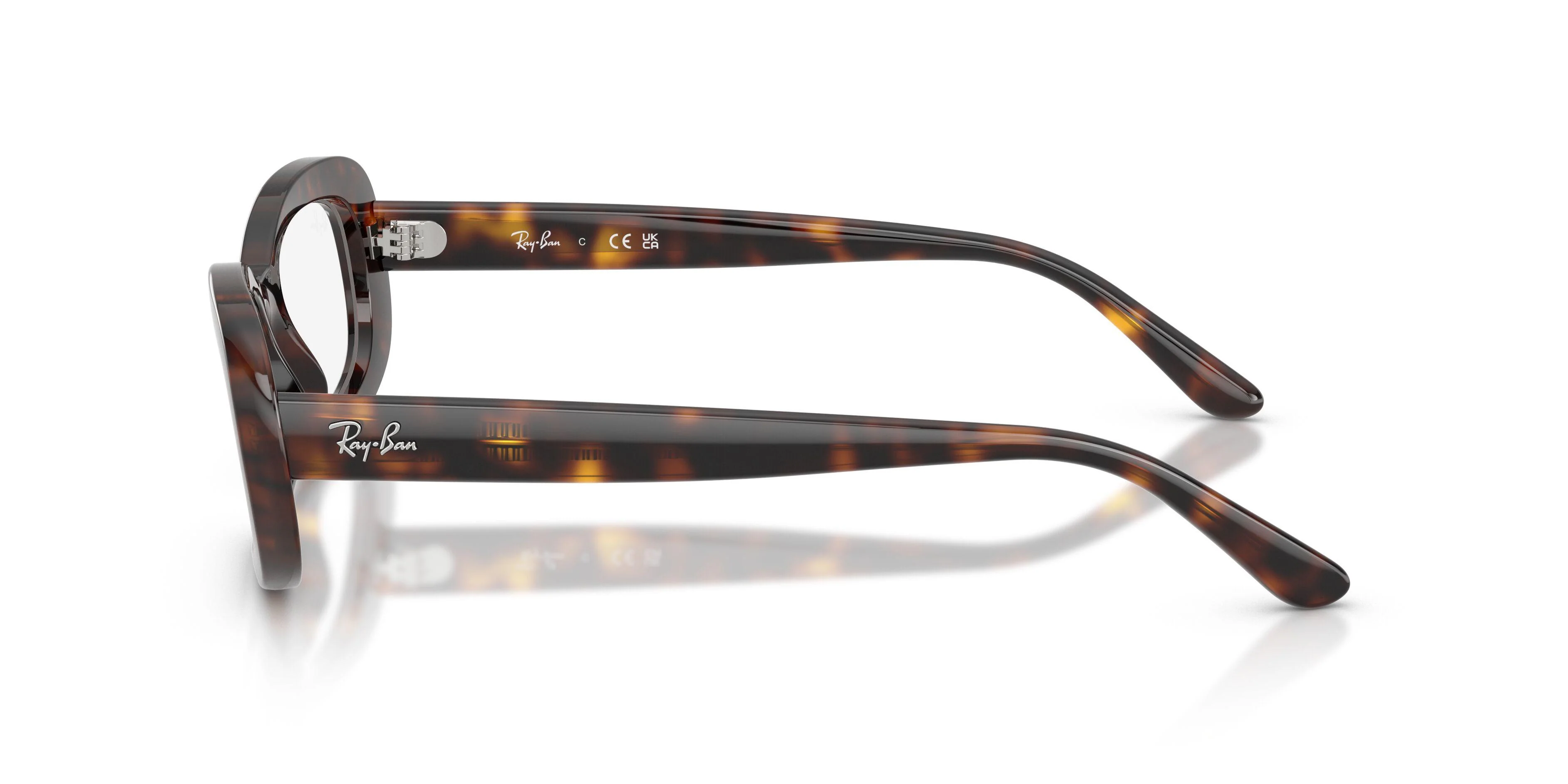 Ray-Ban 2221VF Eyeglasses - Image 10