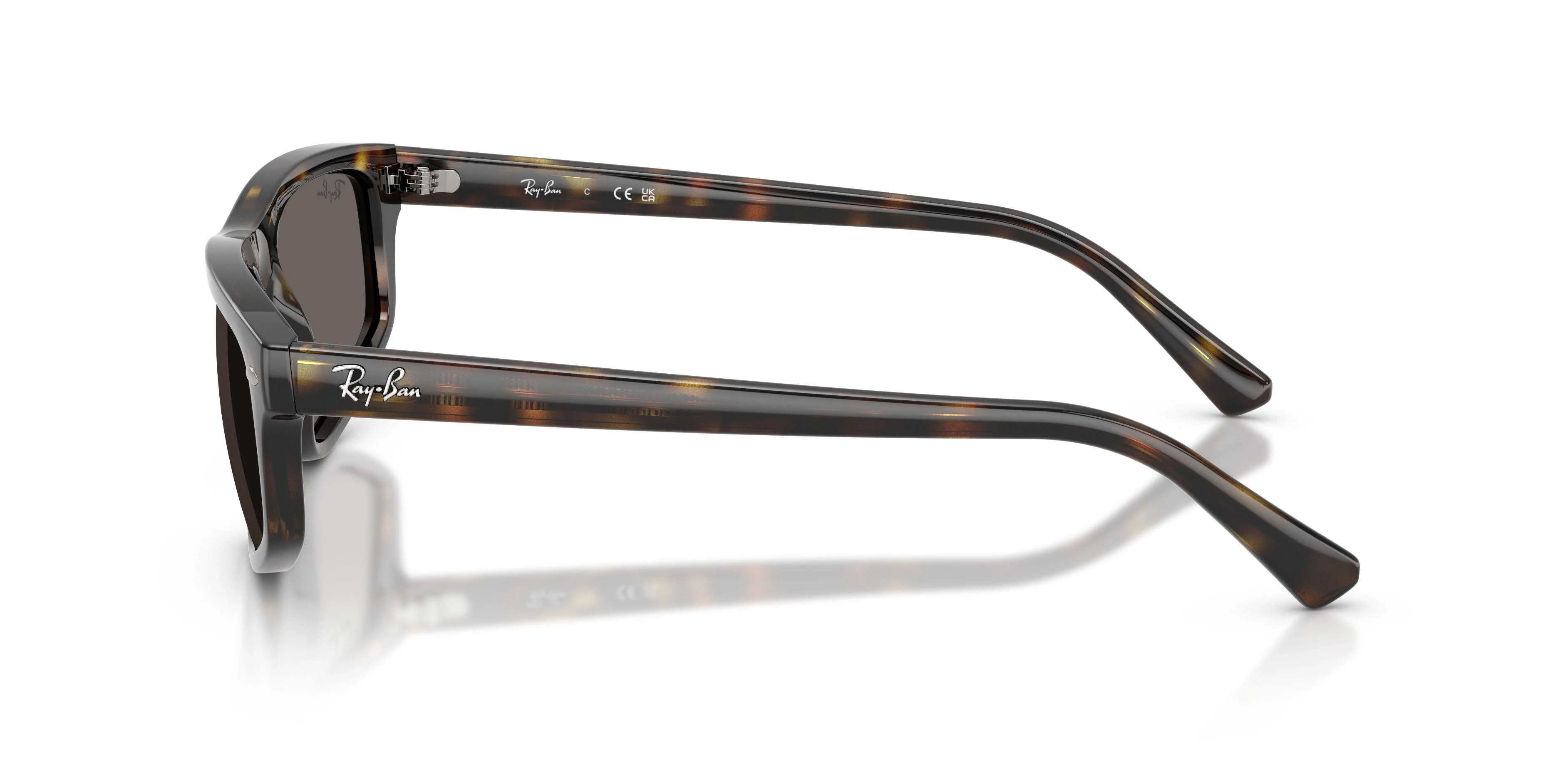 Ray-Ban 2225 Sunglasses - Image 32