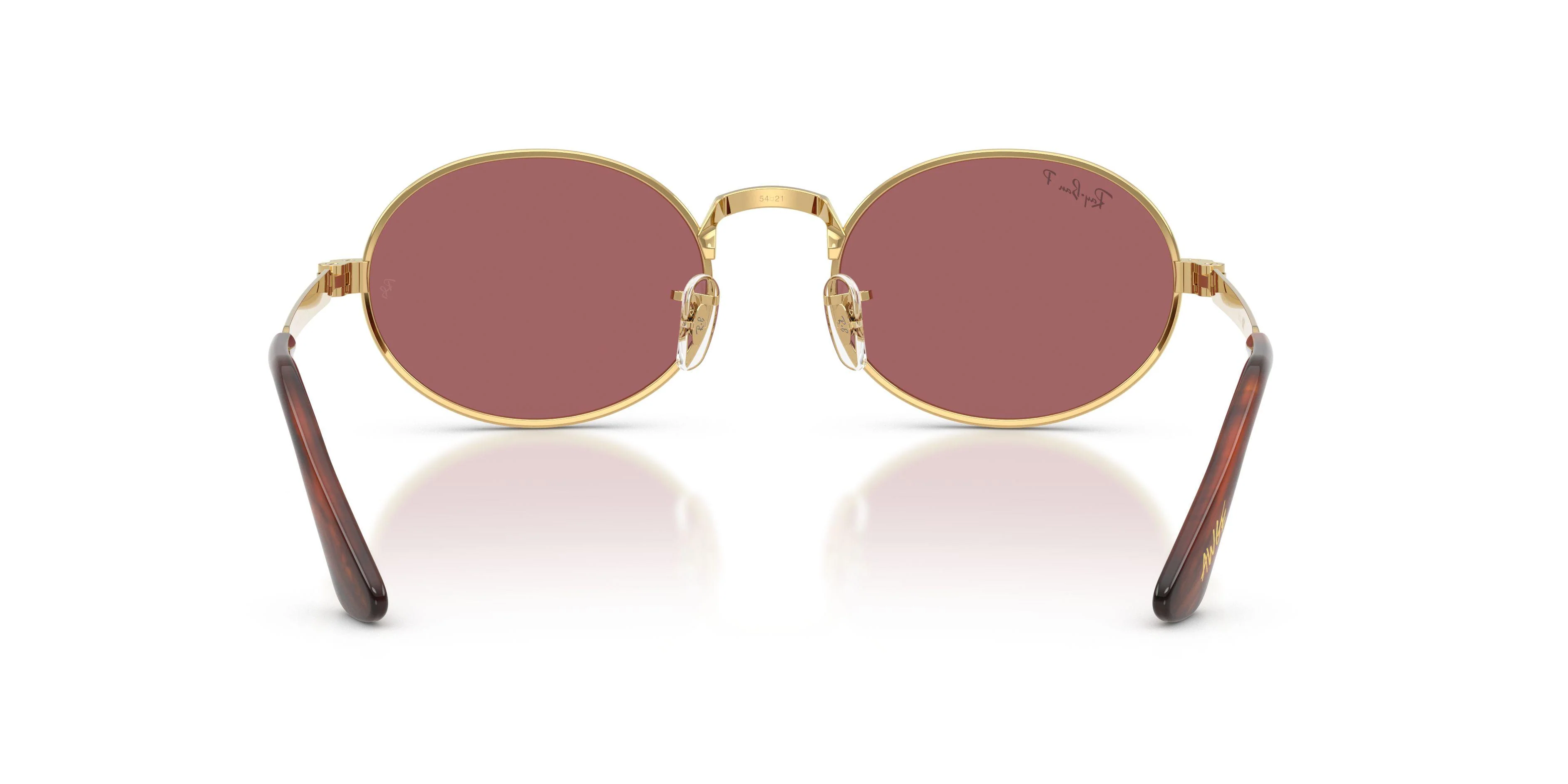 Ray-Ban 3931 Sunglasses - Image 15