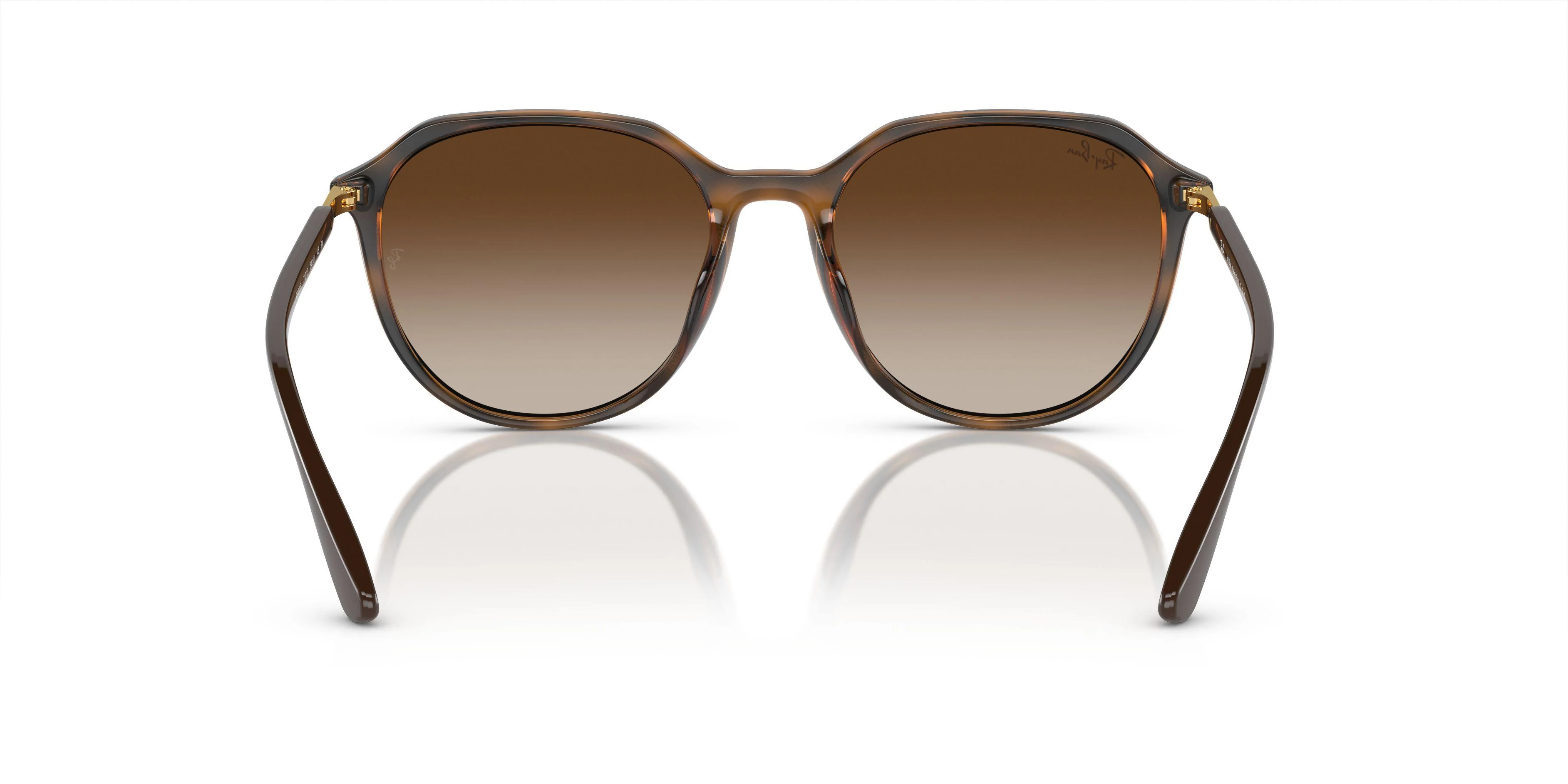 Ray-Ban 4415L Sunglasses - Image 11